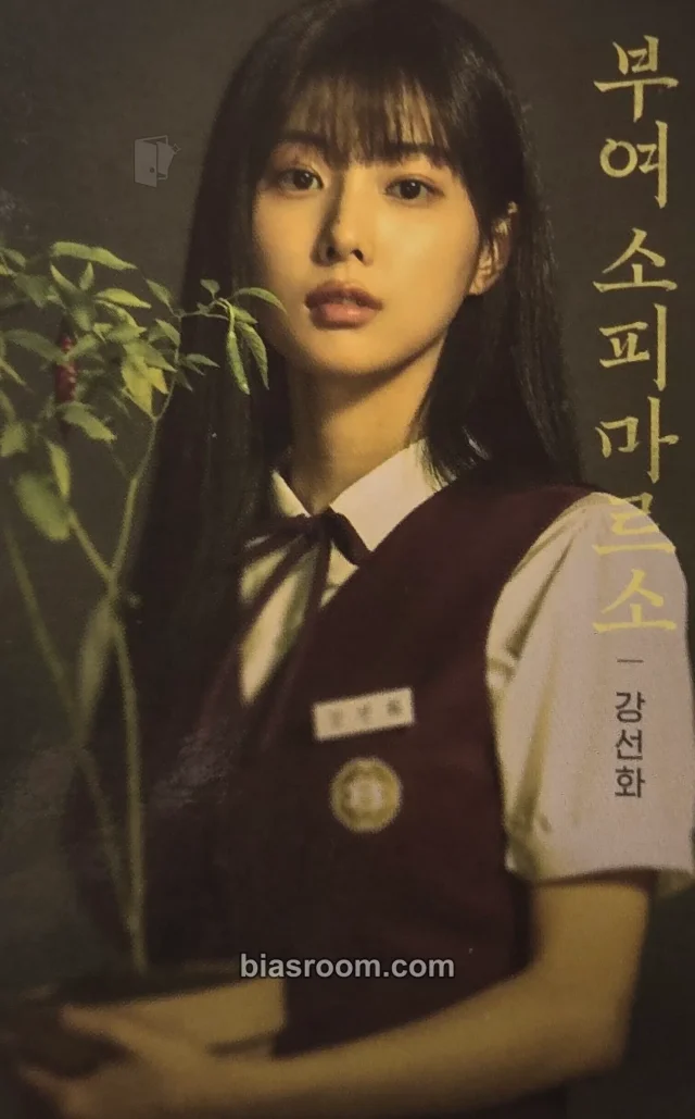 Kang Hyewon - Hyewon - Boyhood OST Other ost album photocard photocard set