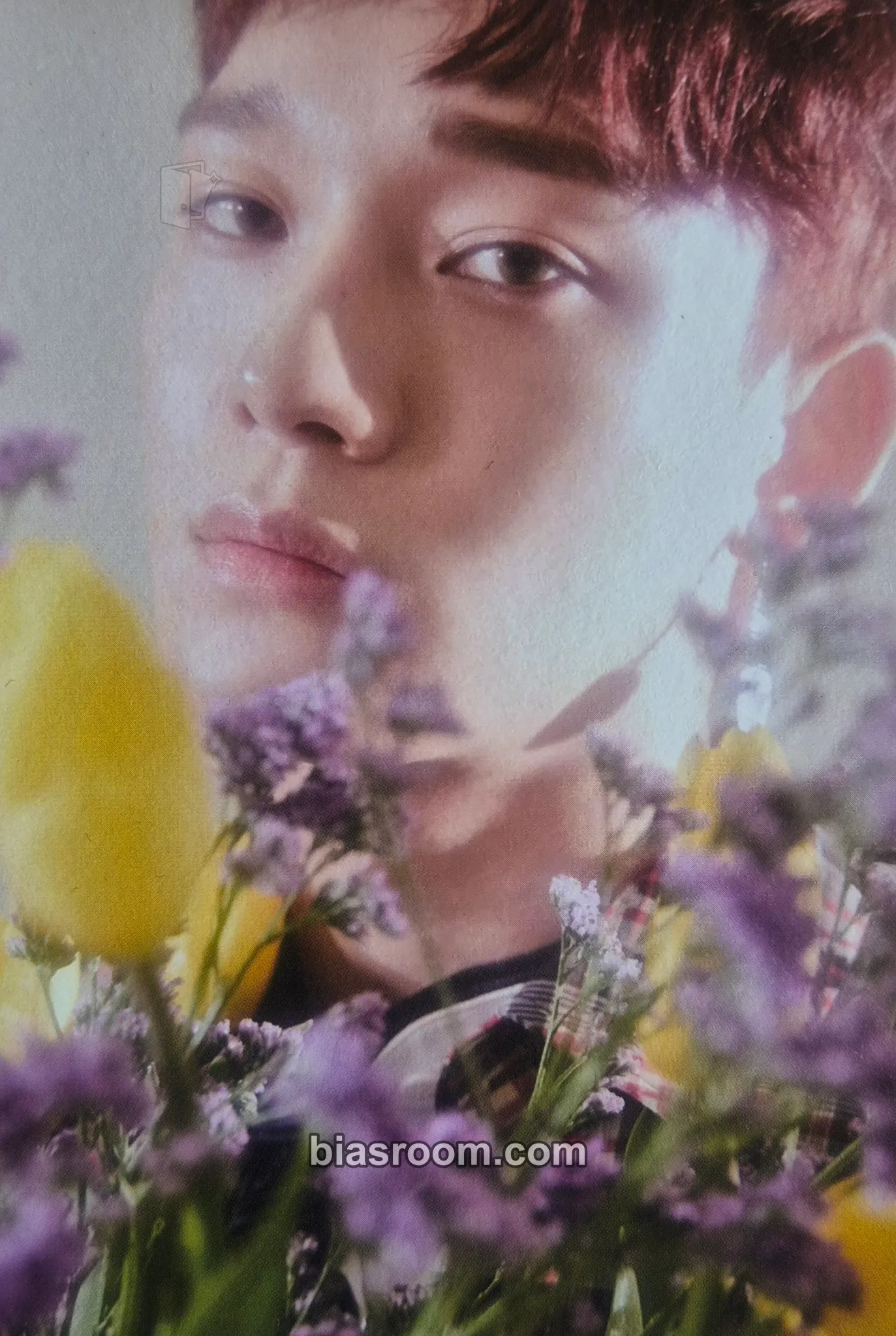 Chen Blooming Days Photocard - EXO - EXO K-pop photocard