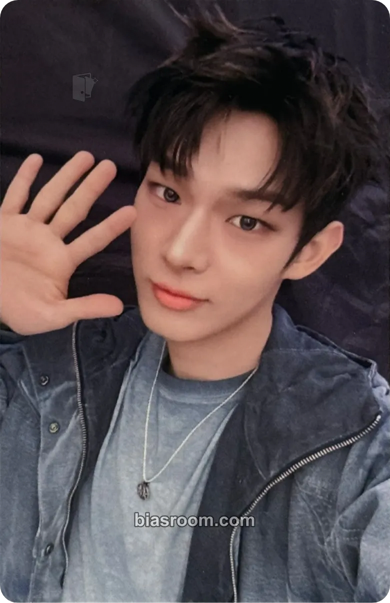 Steven Photocards (AHOF) | Bias Room