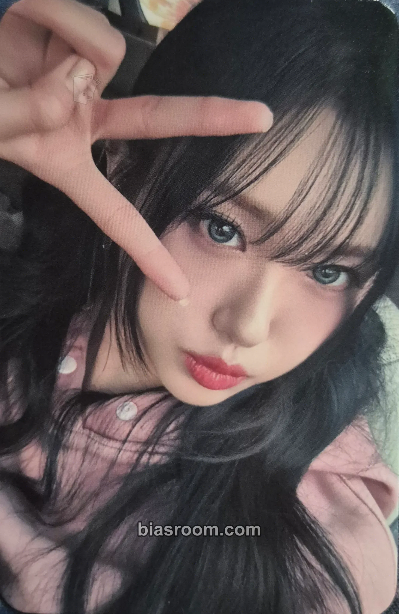 EVERGLOW 