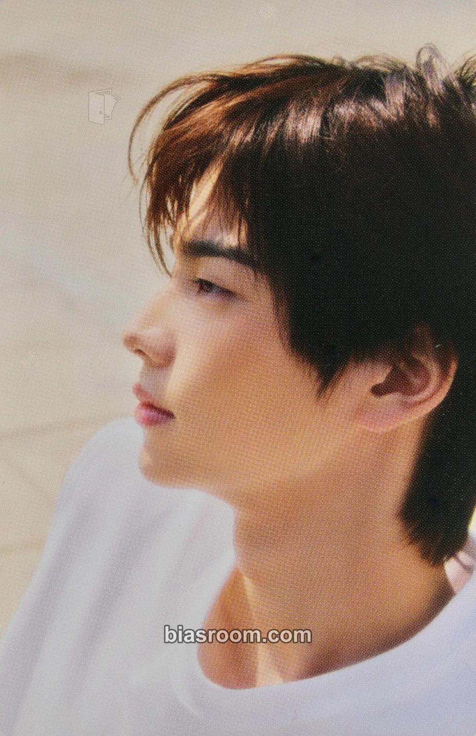 Shinyu SUMMER BEAT! Photocard - TWS - TWS K-pop photocard