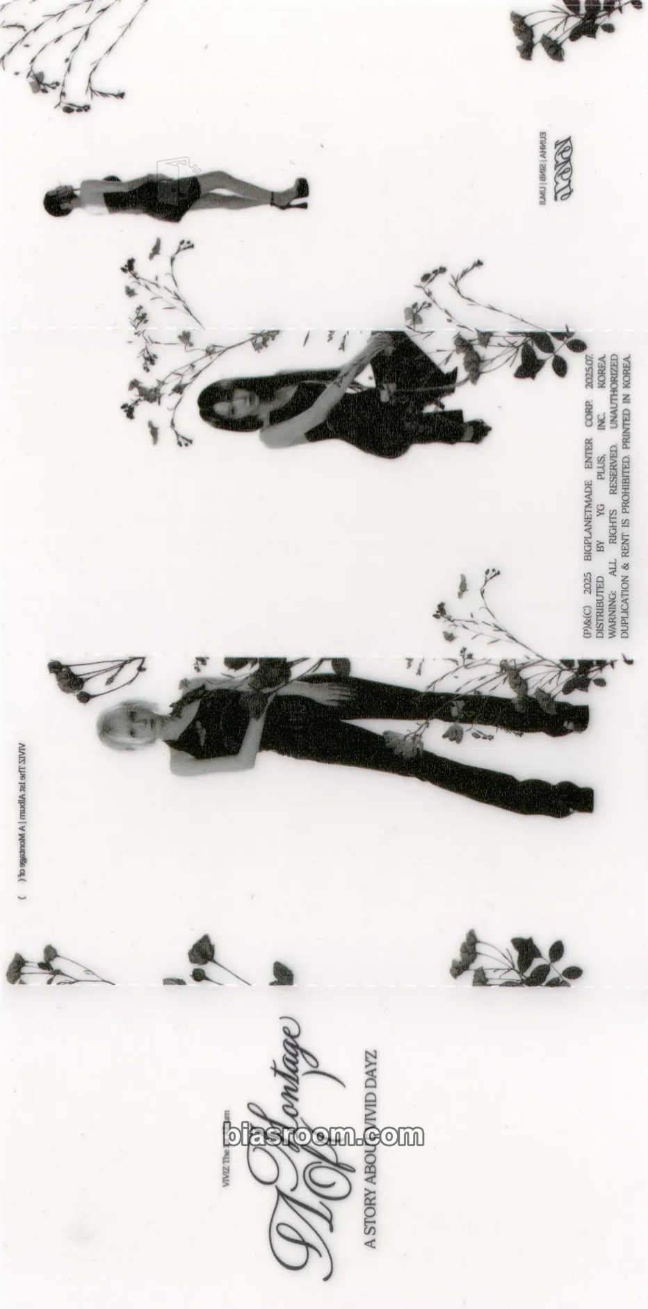 A Montage of ( ) Photocard - VIVIZ - VIVIZ K-pop photocard