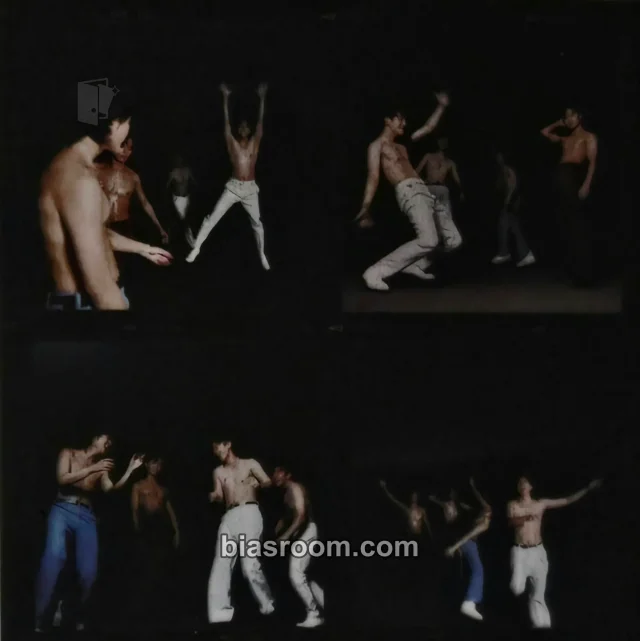 The Rose - Heal Album 4 cut photo film card album inclusion