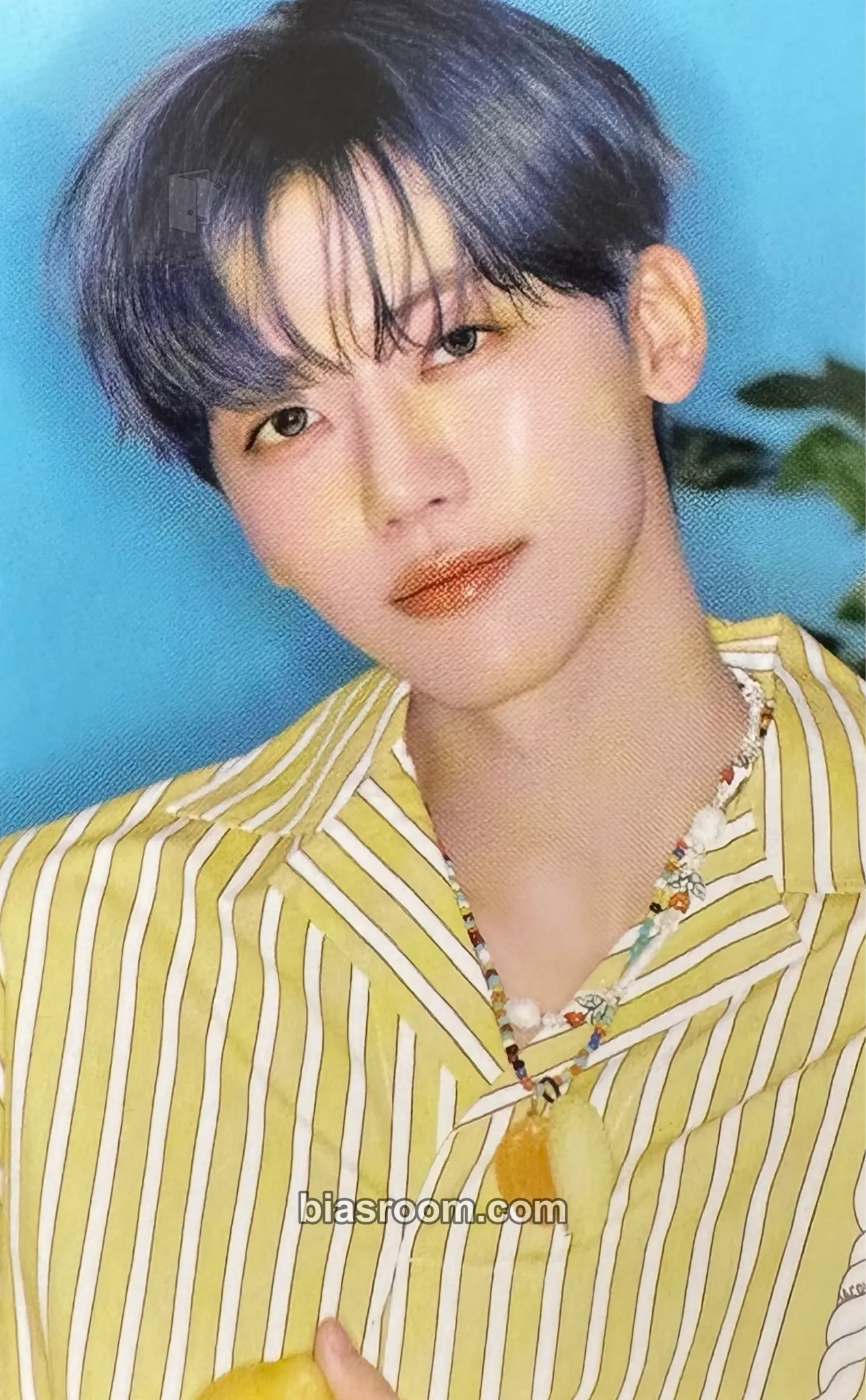 Jaemin 2026 Season’s Greetings Photocard - NCT DREAM - NCT DREAM K-pop photocard
