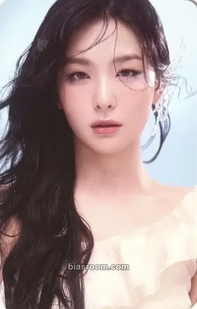 Seulgi 2025 Season's Greeting Photocard - Red Velvet - Red Velvet K-pop photocard