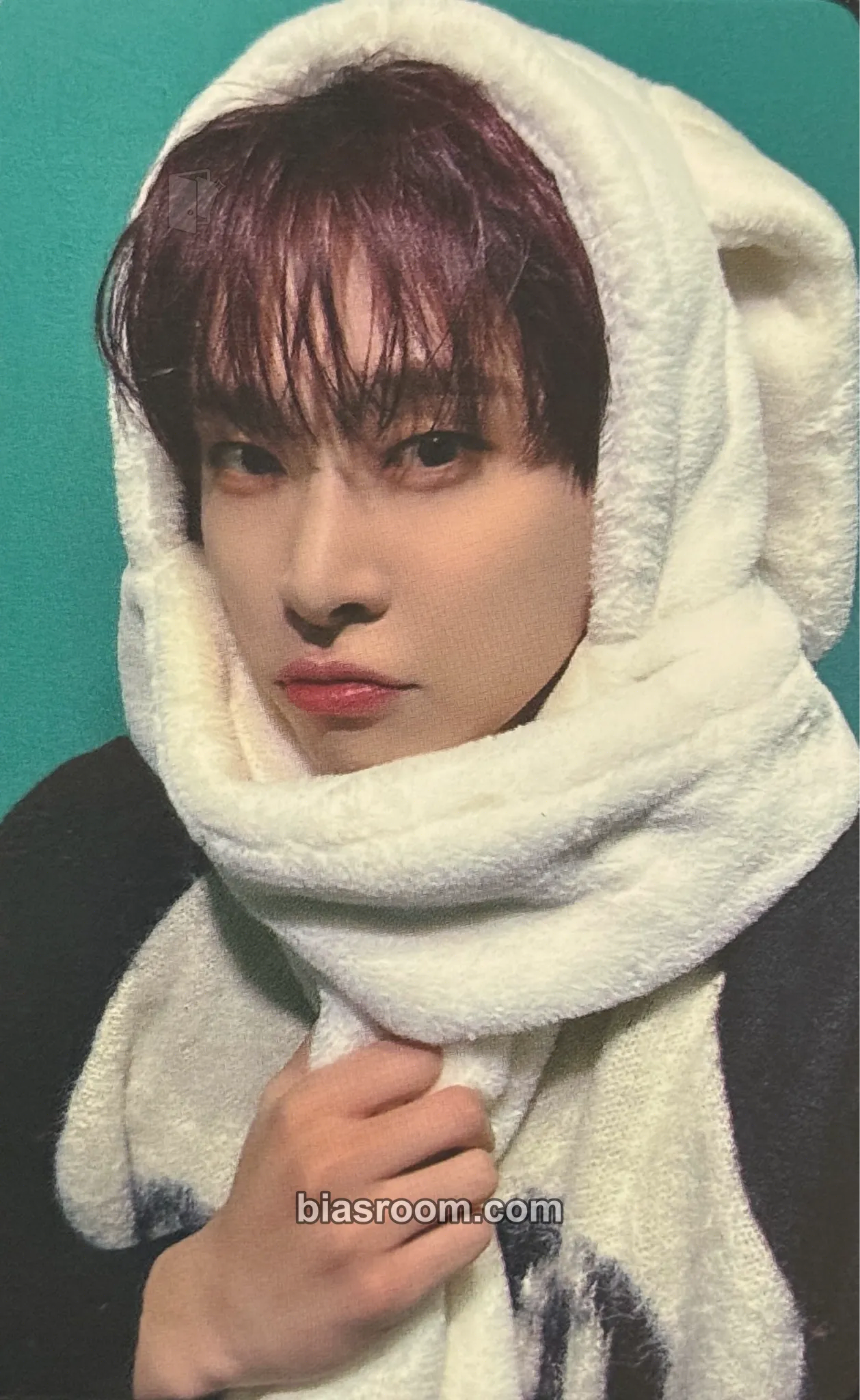 Leon Crime Photocard - TRENDZ - TRENDZ K-pop photocard