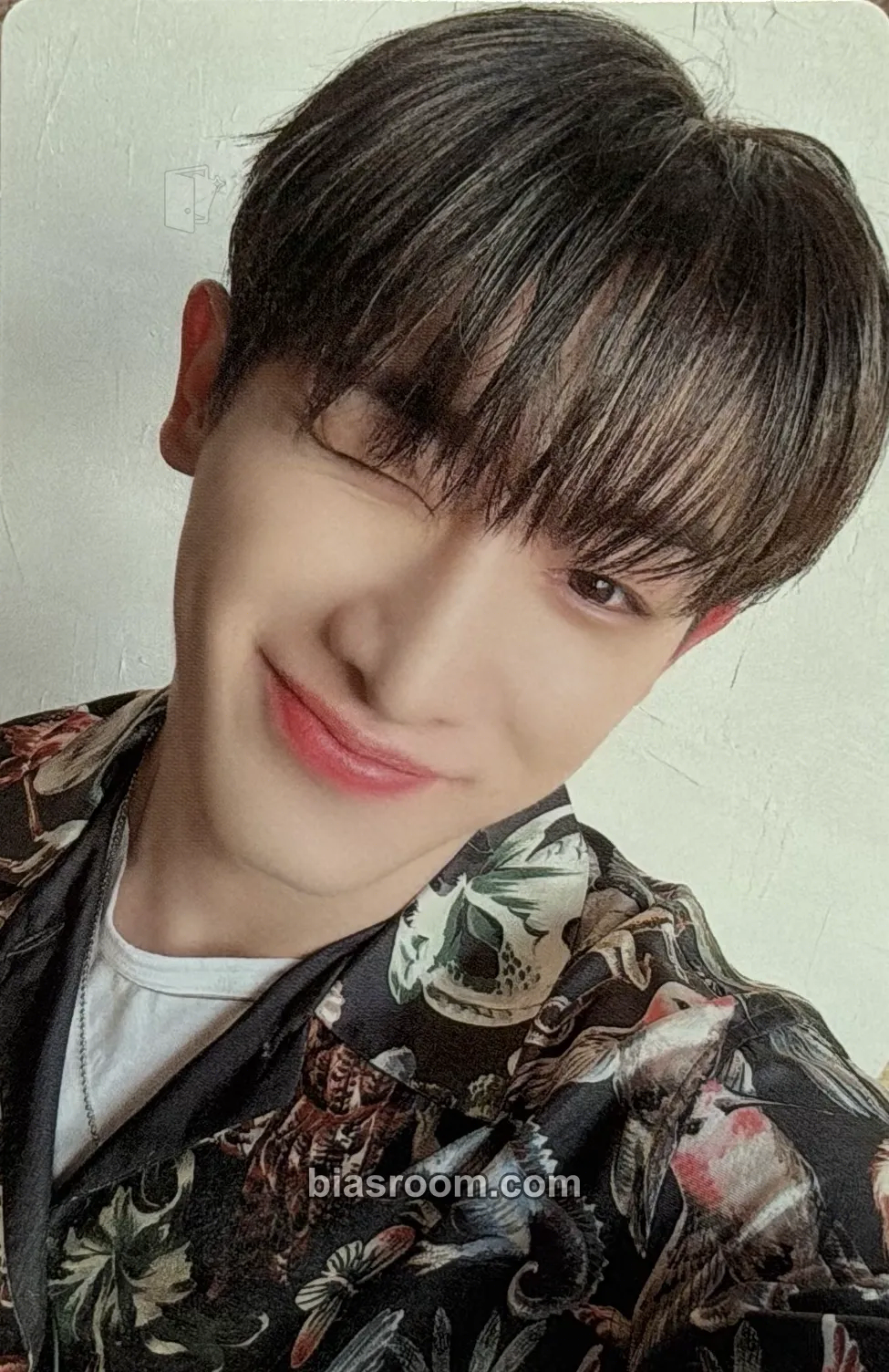 Wonho Wonho’s Trip Photocard - Wonho K-pop photocard