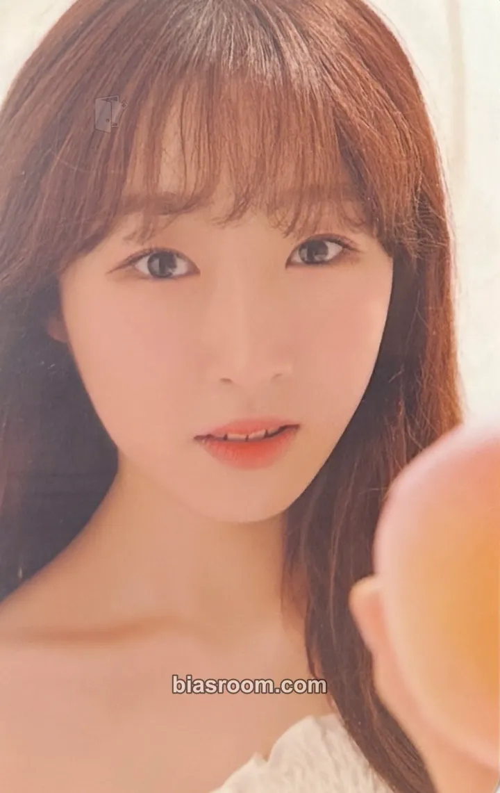 Soobin WJSN 2019 Season's Greetings Photocard - WJSN - WJSN K-pop photocard