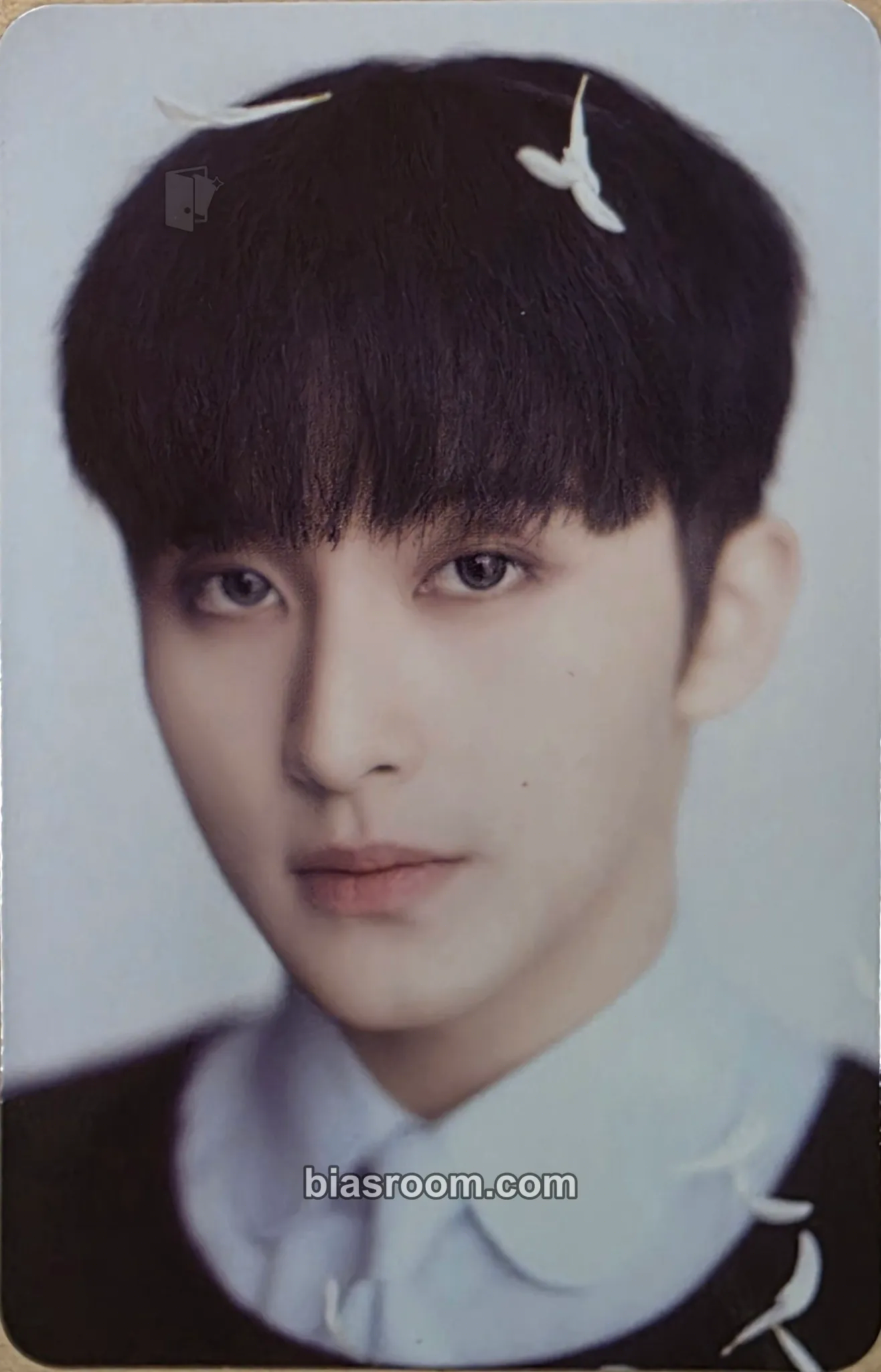 Mark Dream()scape MD Photocard - NCT DREAM - NCT DREAM K-pop photocard