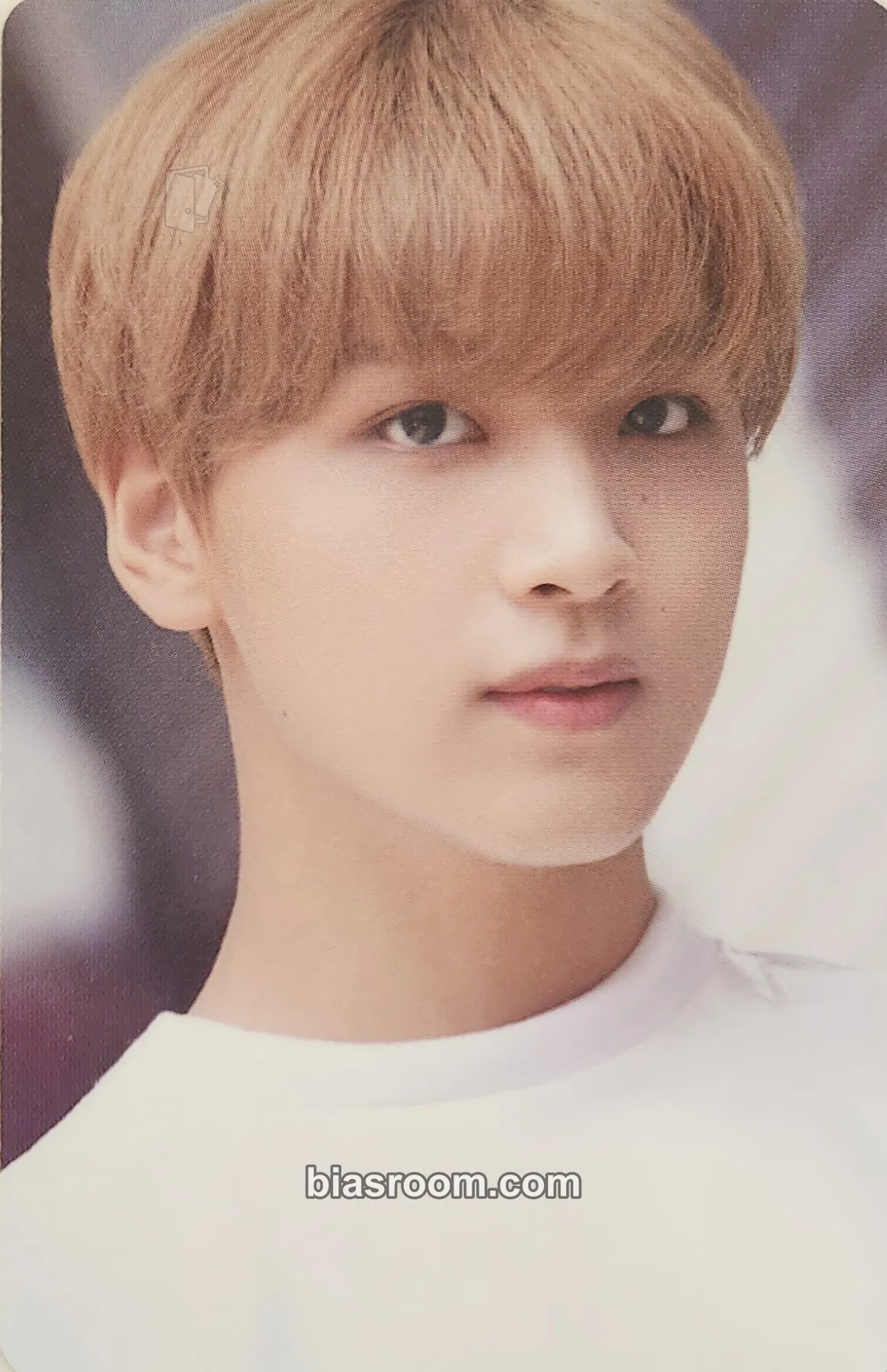Haechan DICON 101 Photocard - NCT 127 - NCT 127 K-pop photocard