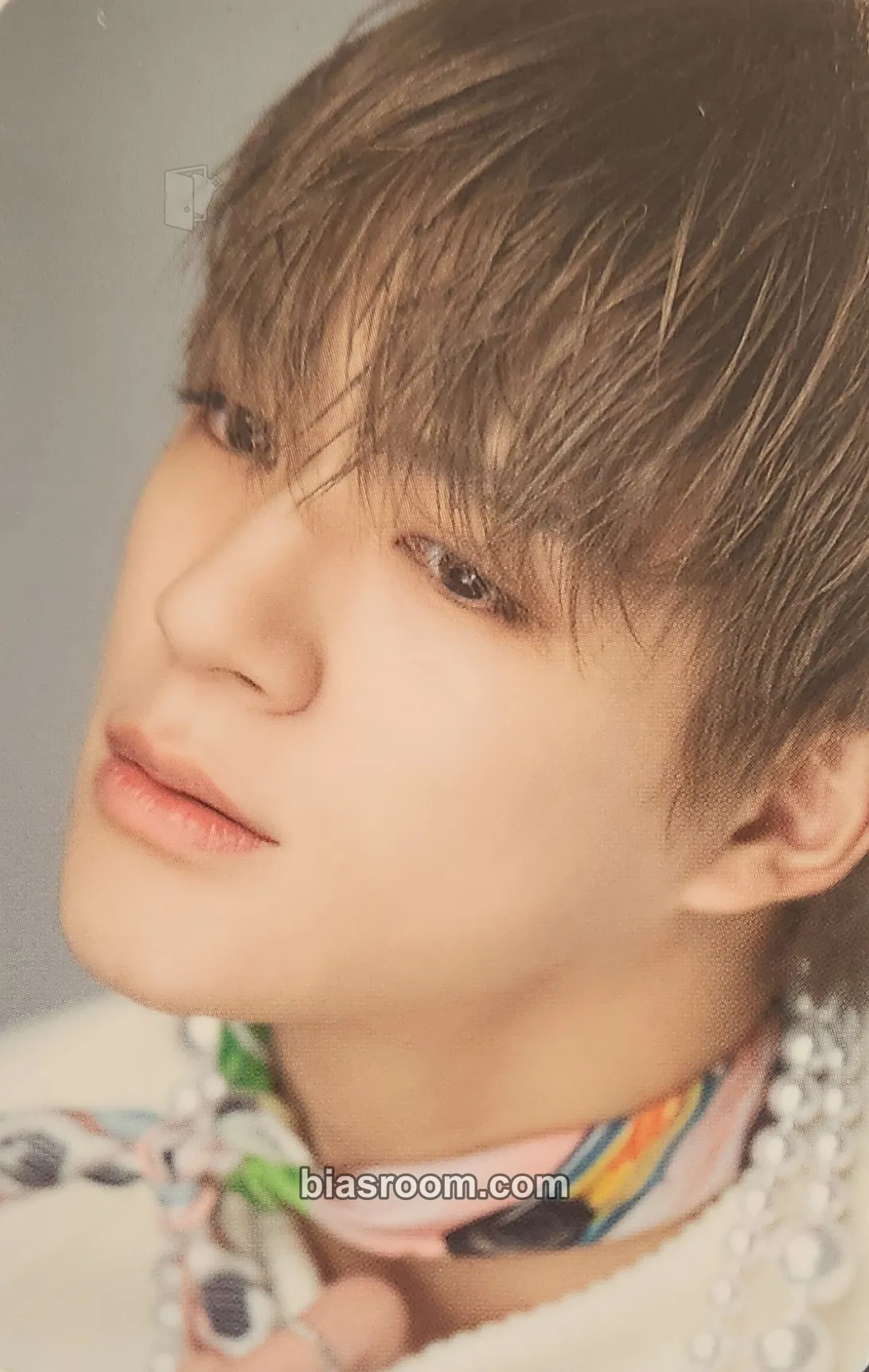 Jeno DICON D'FESTA Mini Edition Photocard - NCT DREAM - NCT DREAM K-pop photocard