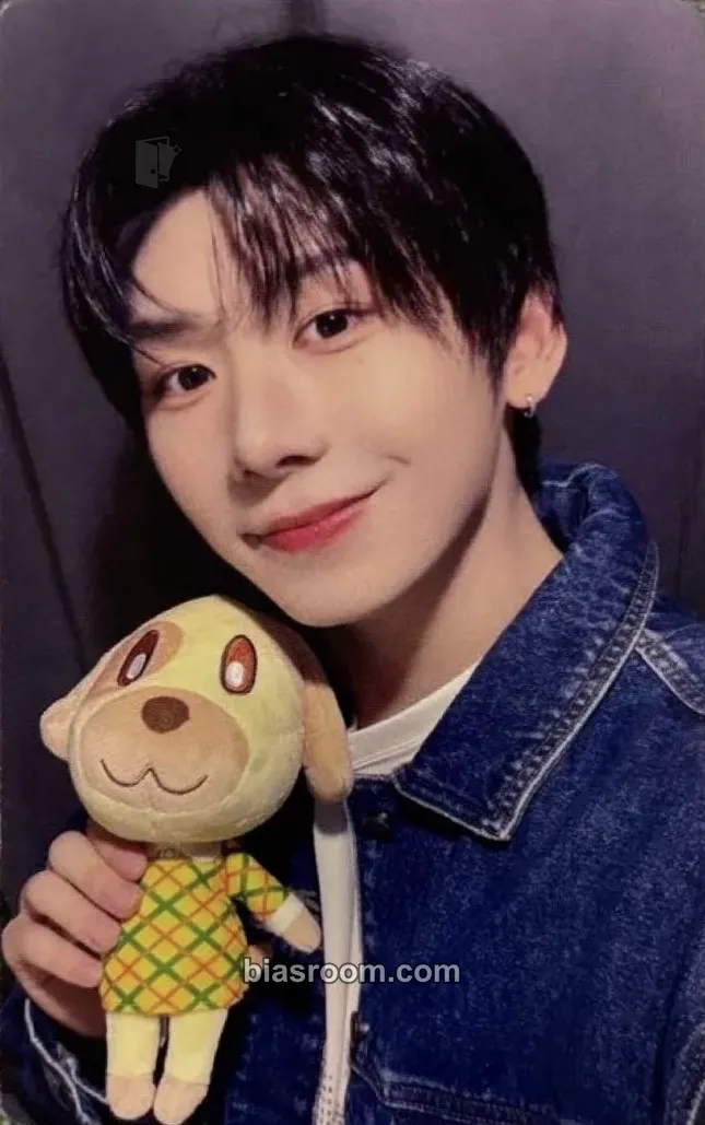 Han Photocards (AHOF) | Bias Room