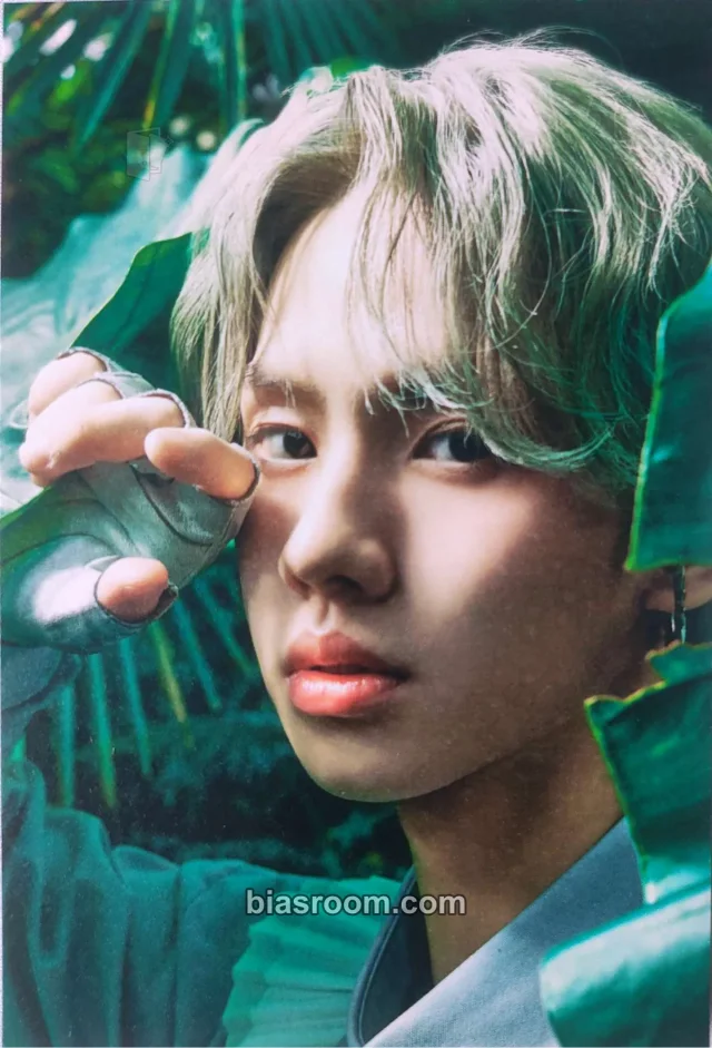 MCND - Win - X10 Album album inclusion postcard one team version