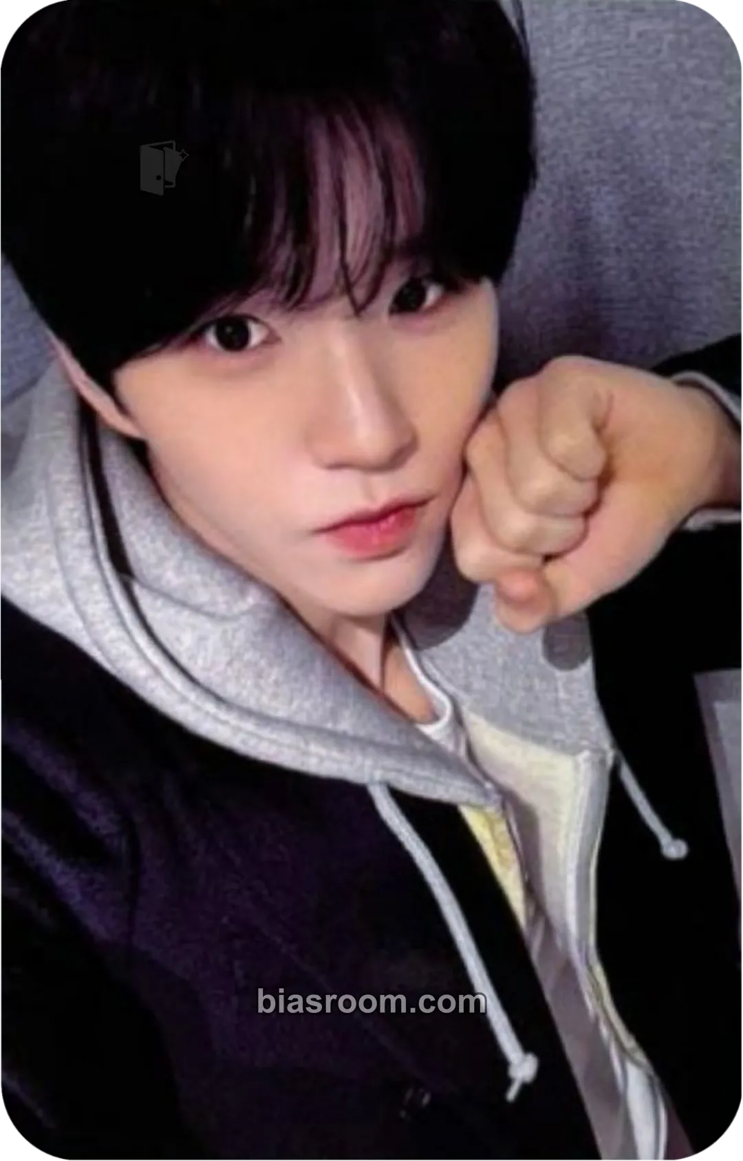 Jaehee COLOR Photocard - NCT WISH - NCT WISH K-pop photocard