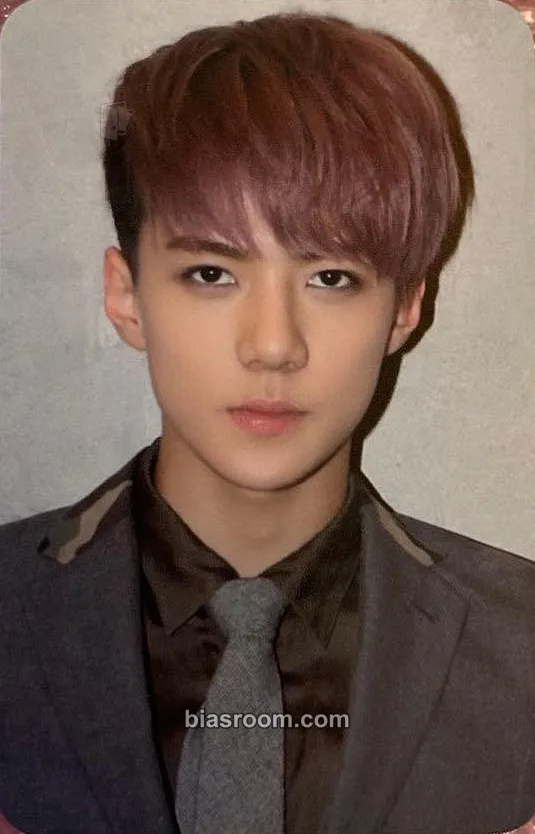 Sehun EXO's 10th Debut Anniversary MD Photocard - EXO - EXO K-pop photocard