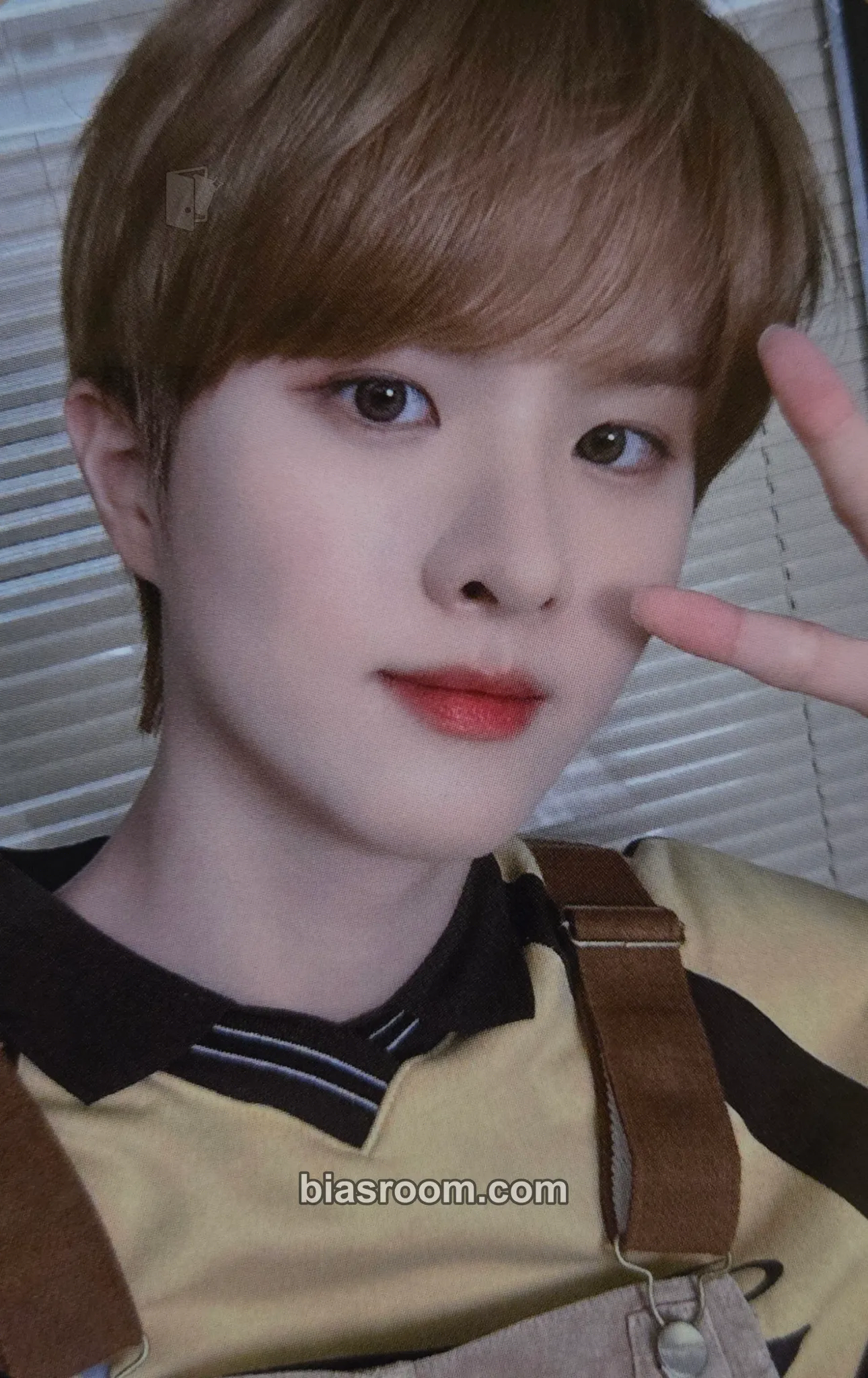 Ivan Season's Greetings 2025 Photocard - The KingDom - The KingDom K-pop photocard