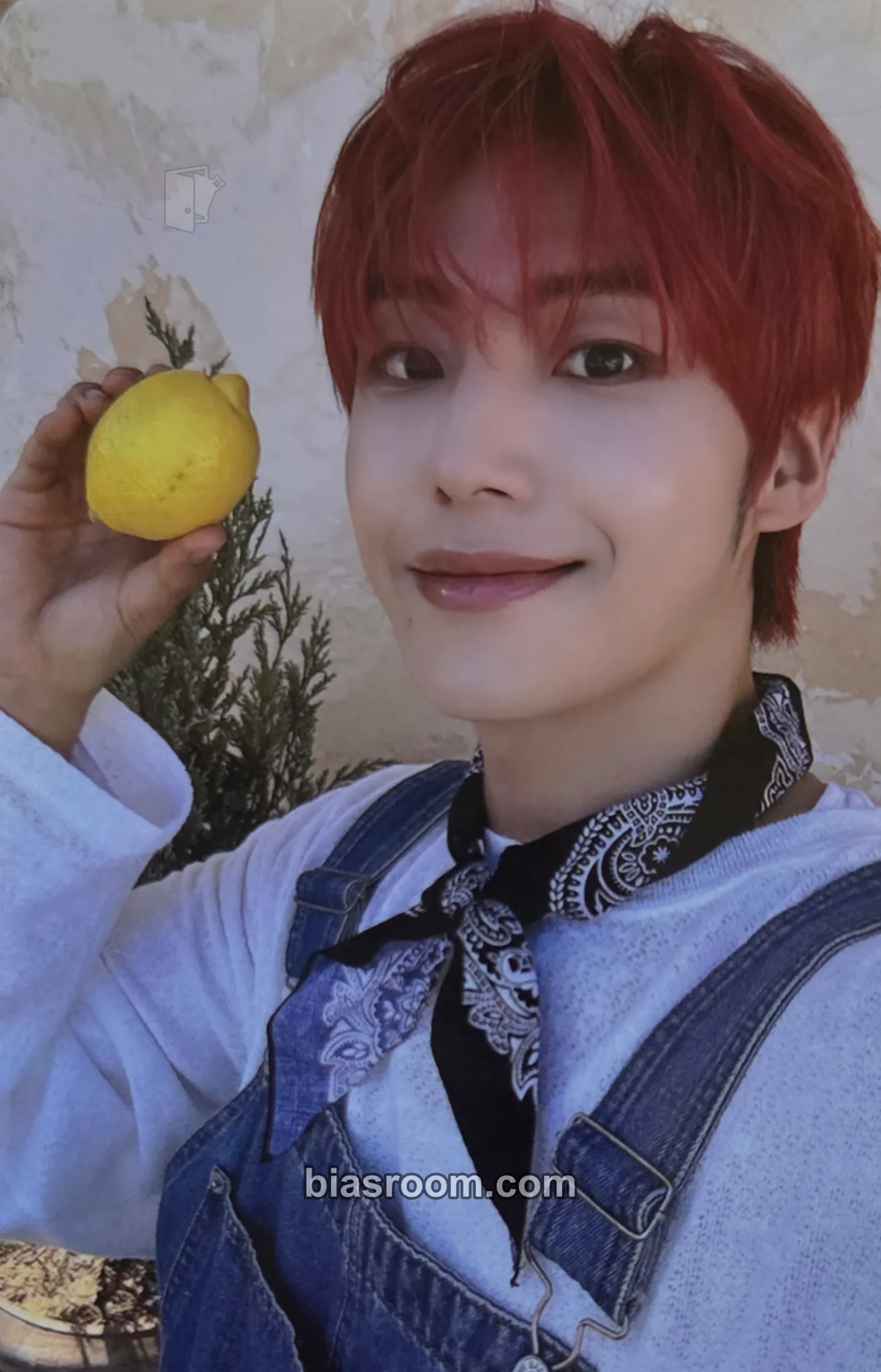 Eunsang Younite 1st Fankit: YOU NEED TO? Photocard - Younite - Younite K-pop photocard