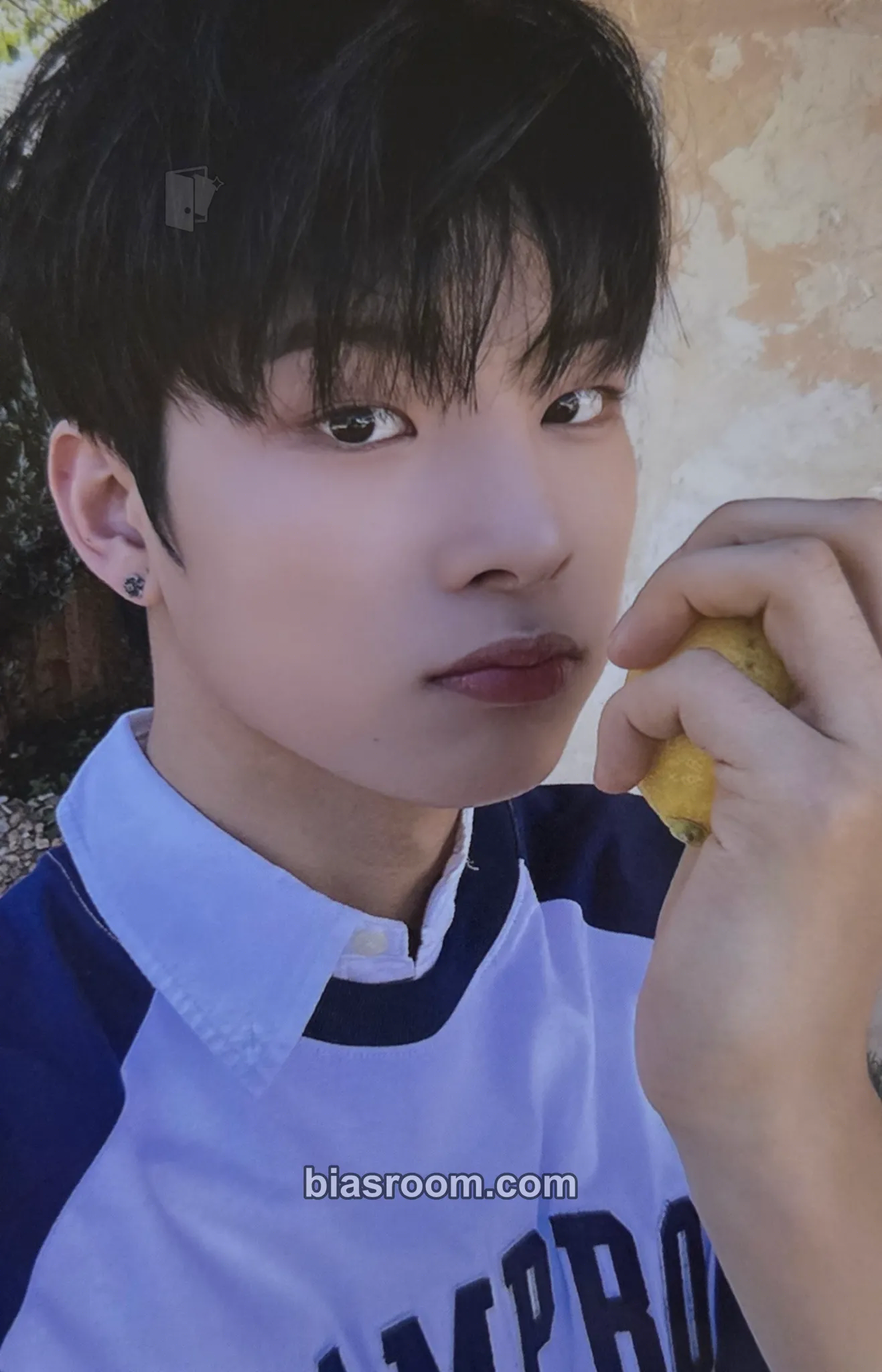 Sion Younite 1st Fankit: YOU NEED TO? Photocard - Younite - Younite K-pop photocard