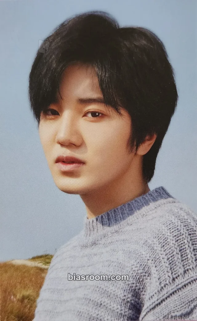 Sungjong INFINITE For You K-pop photocard