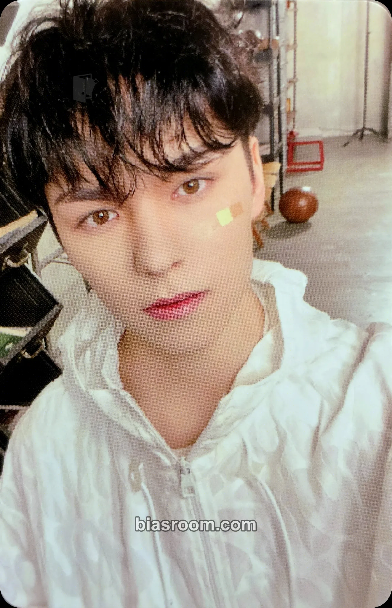 Vernon FML Photocard - SEVENTEEN - SEVENTEEN K-pop photocard