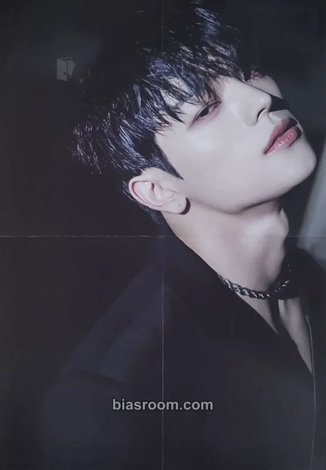 Kim Woojin - Woojin - I Like the Way Album folded poster