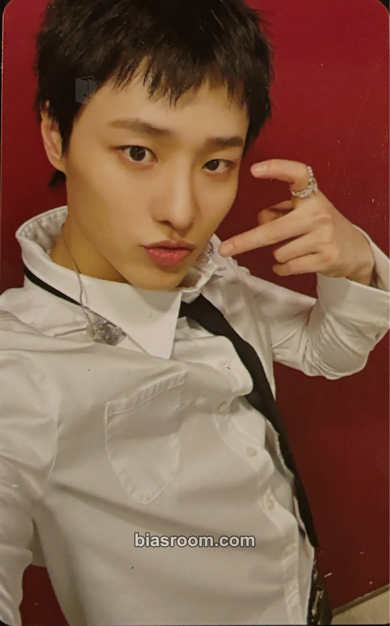 WOODZ 2026 World Tour 'Archive. 1' Photocard - WOODZ K-pop photocard