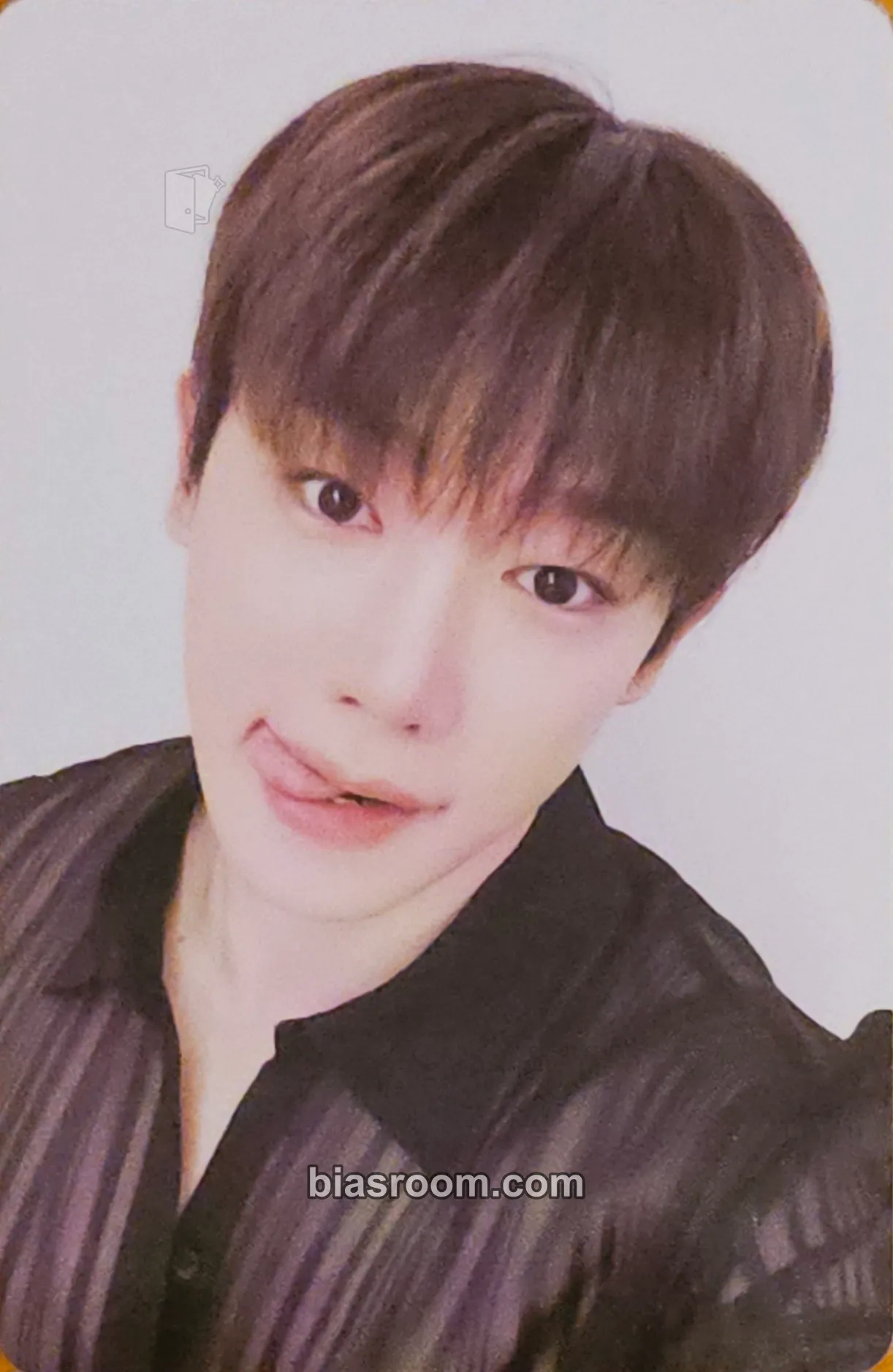 Wonho Stay Awake World Tour Photocard - Wonho K-pop photocard