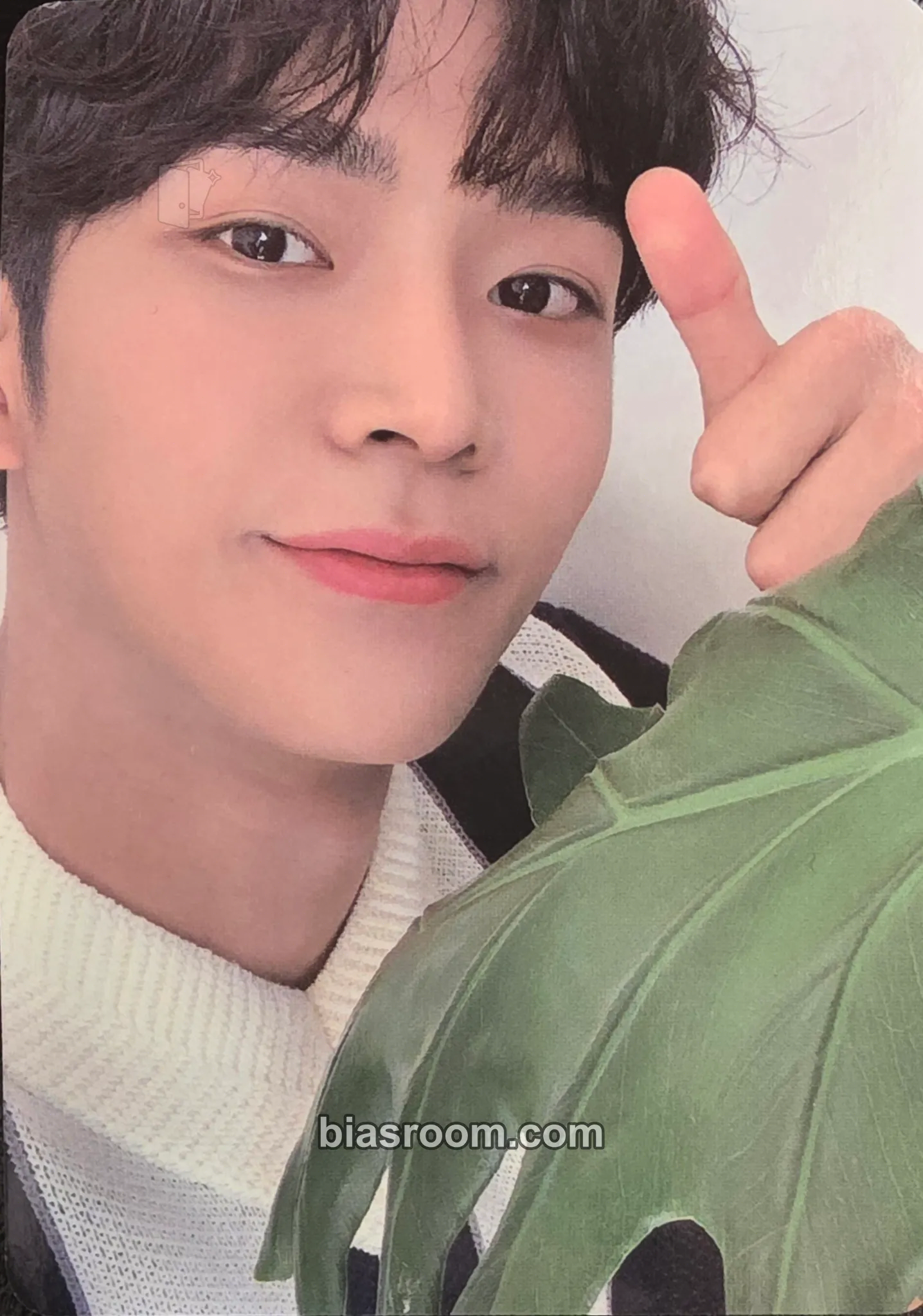 Rowoon 2020 Season's Greetings Photocard - SF9 - SF9 K-pop photocard