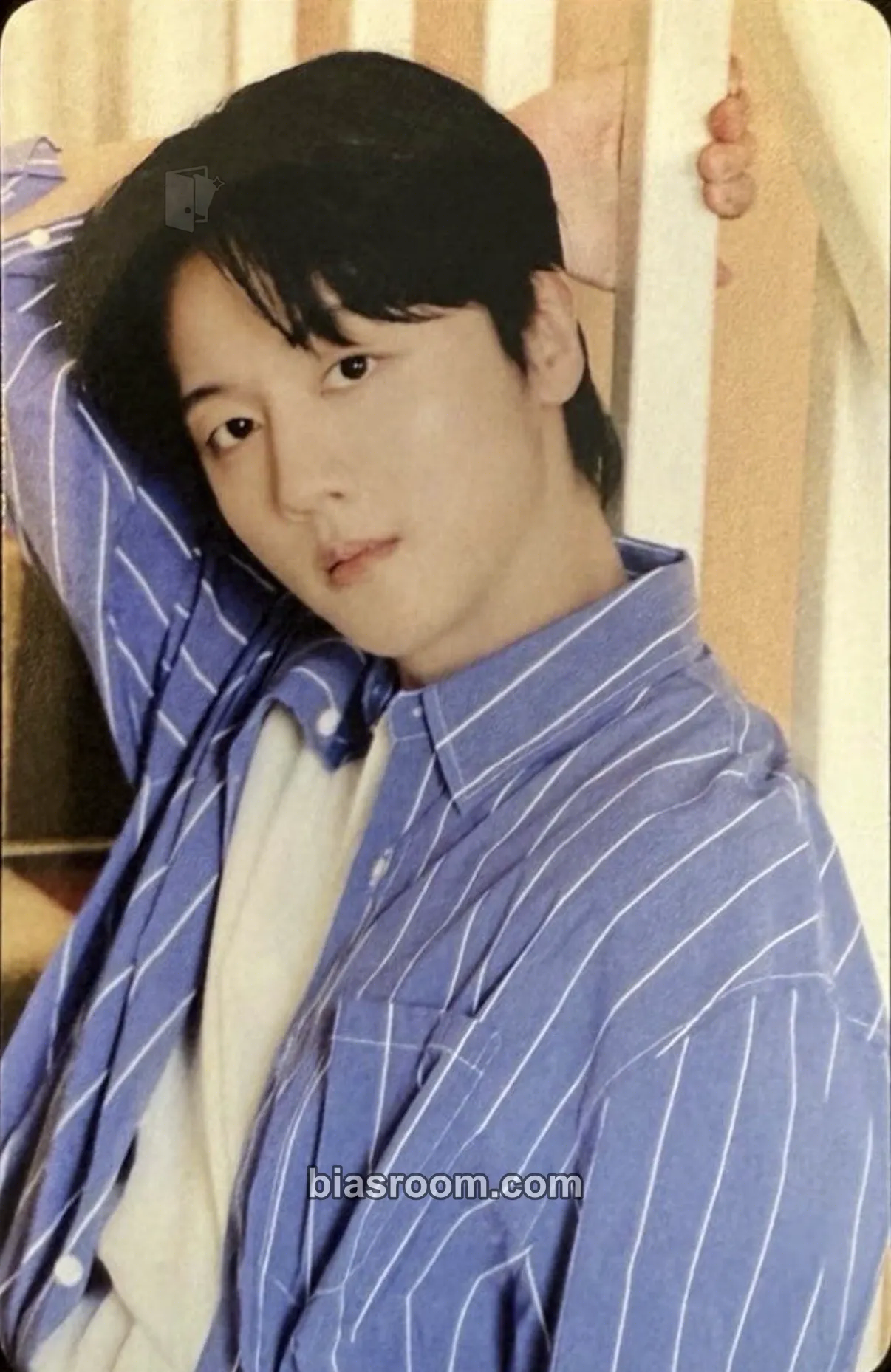 Youngbin About Love (Japanese version) Photocard - SF9 - SF9 K-pop photocard