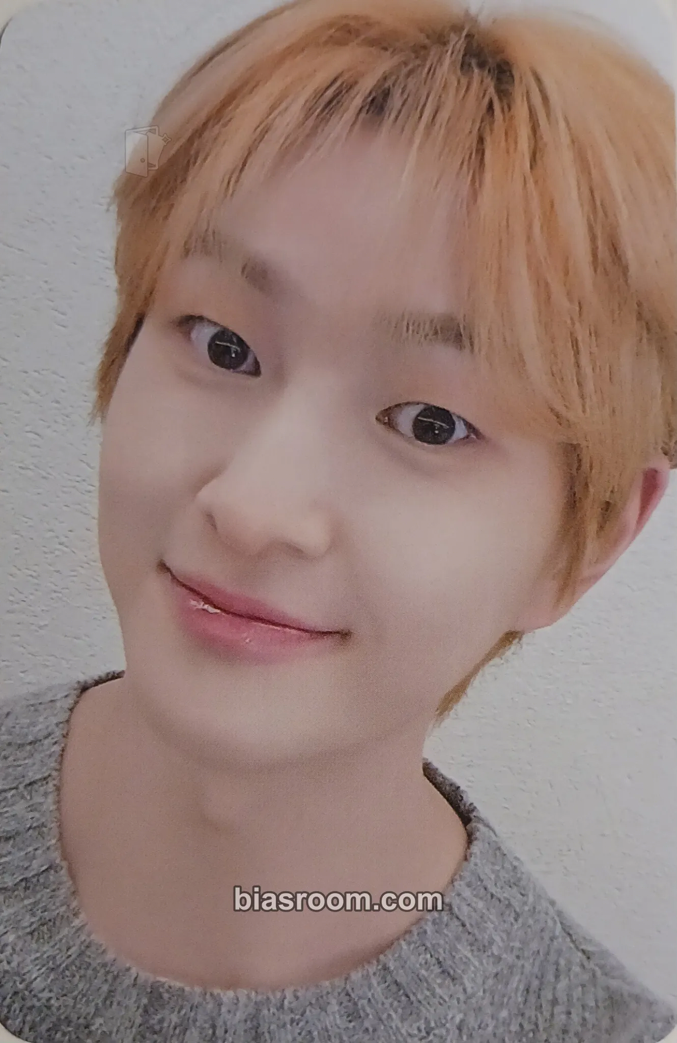 Onew Jjingnyang's Twinkle! Snowyland POP-UP Photocard - SHINee - SHINee K-pop photocard