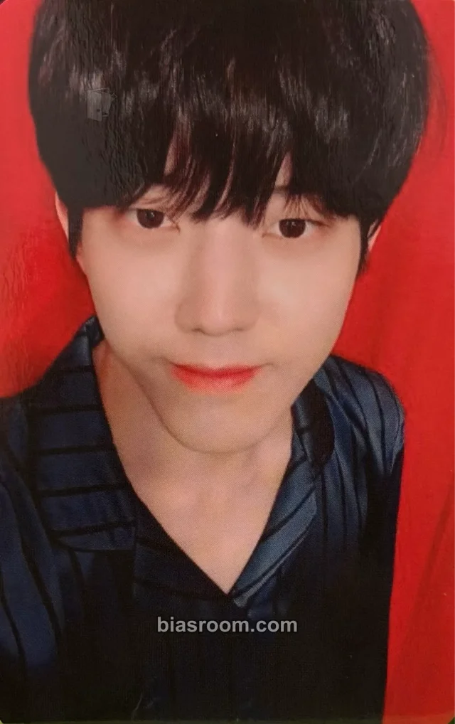 DAY6 - Dowoon - 3rd Official MyDay Fanclub kit - My Dreamy DAY6 Other photocard set