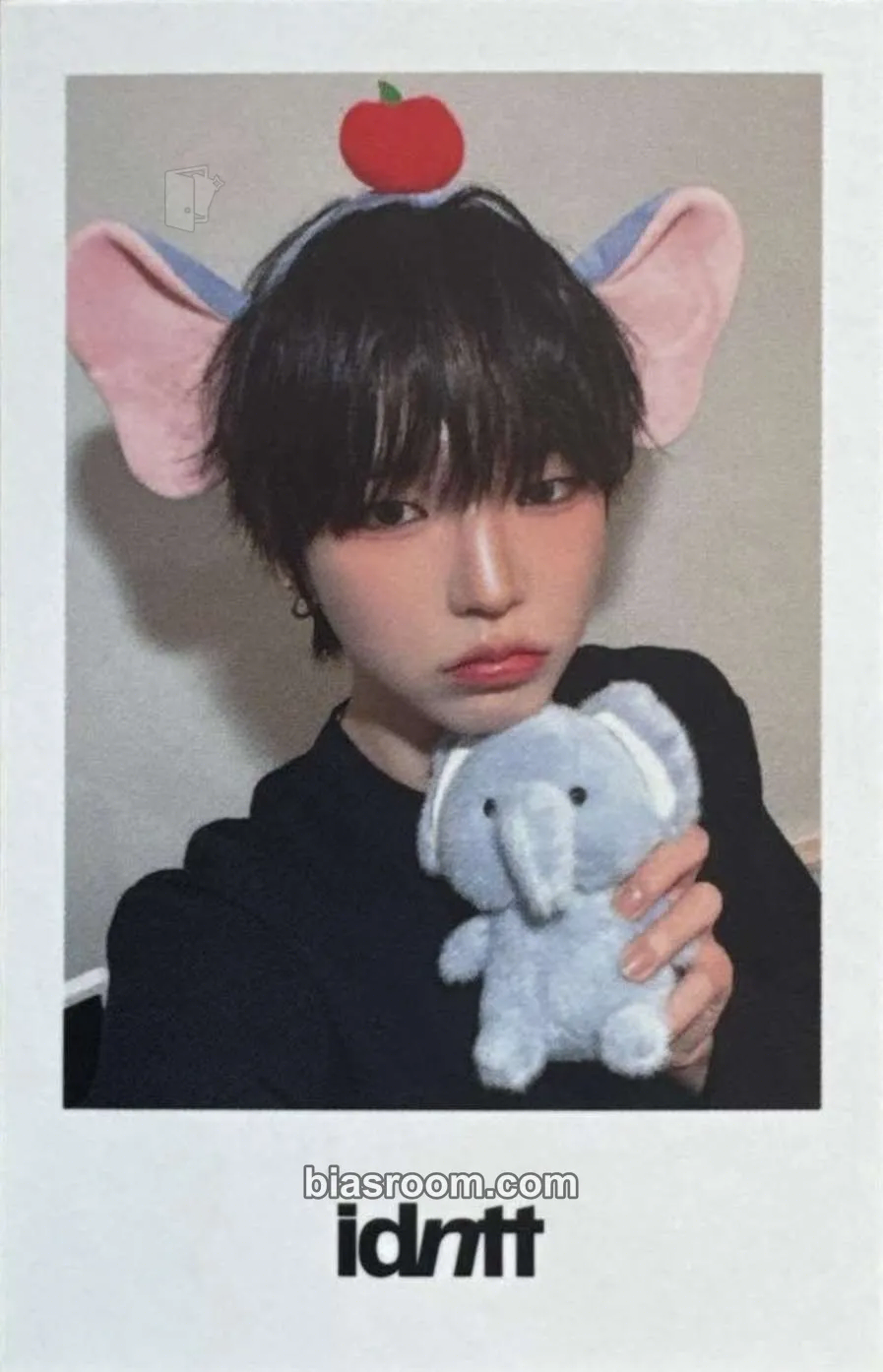 Lee JaeYoung yesweare Photocard - idntt - idntt K-pop photocard