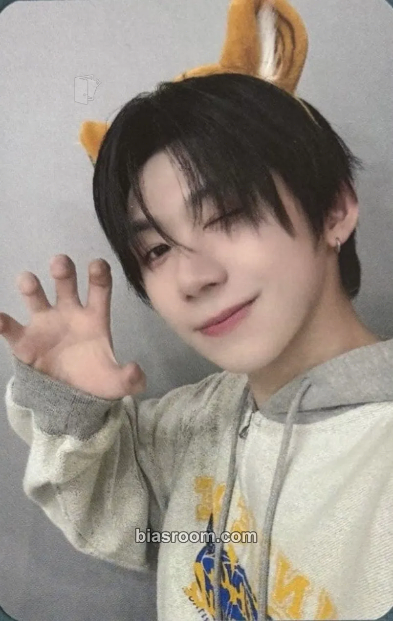 Han Photocards (AHOF) | Bias Room
