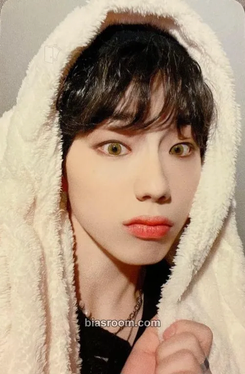 Wonjun 2024 E'LAST PHOTOCARD SET 'Together' Photocard - E’LAST - E’LAST K-pop photocard