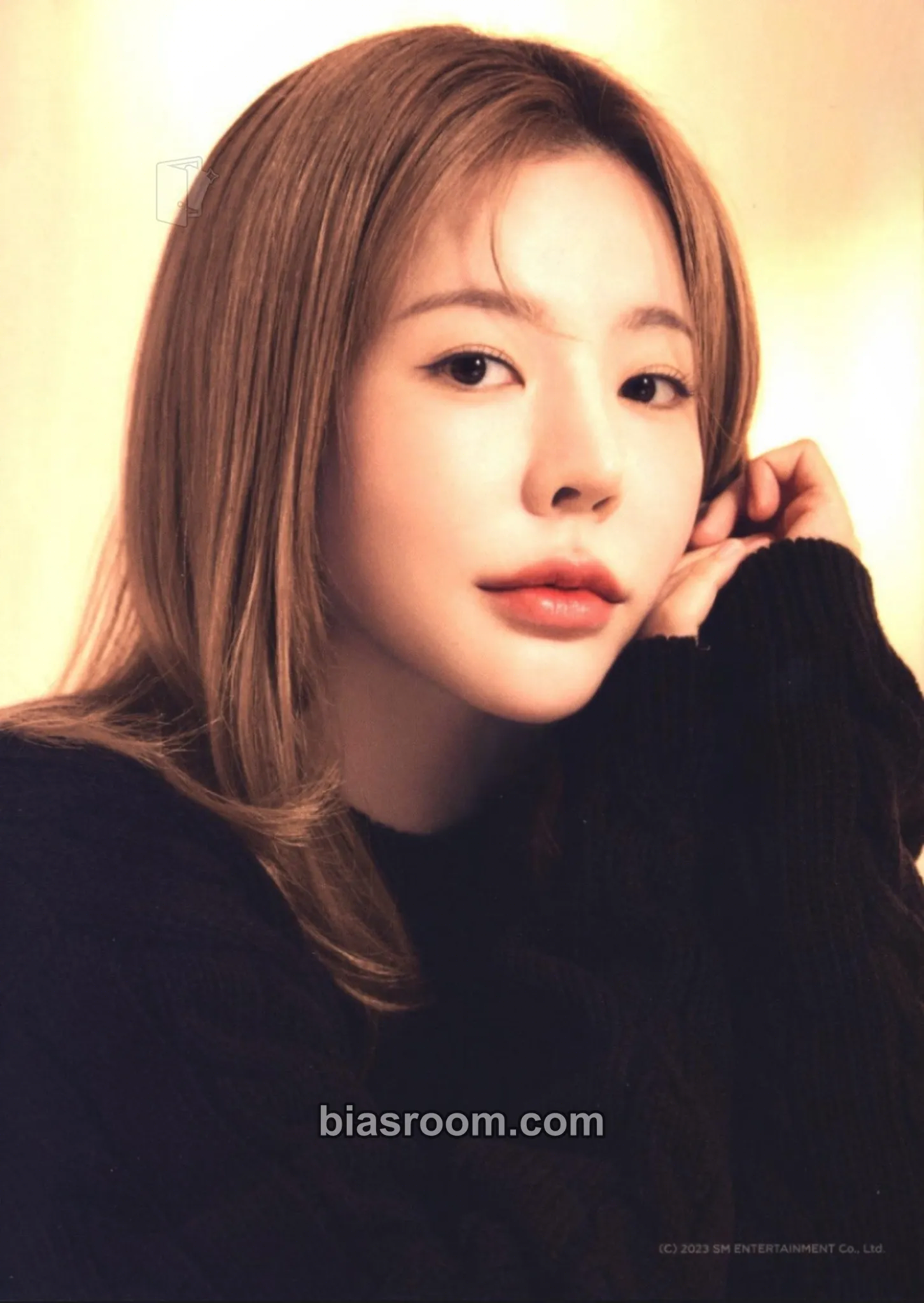 Sunny Girl's Generation-Oh!GG - 2023 Season's Greetings Photocard - Girls' Generation - Girls' Generation K-pop photocard