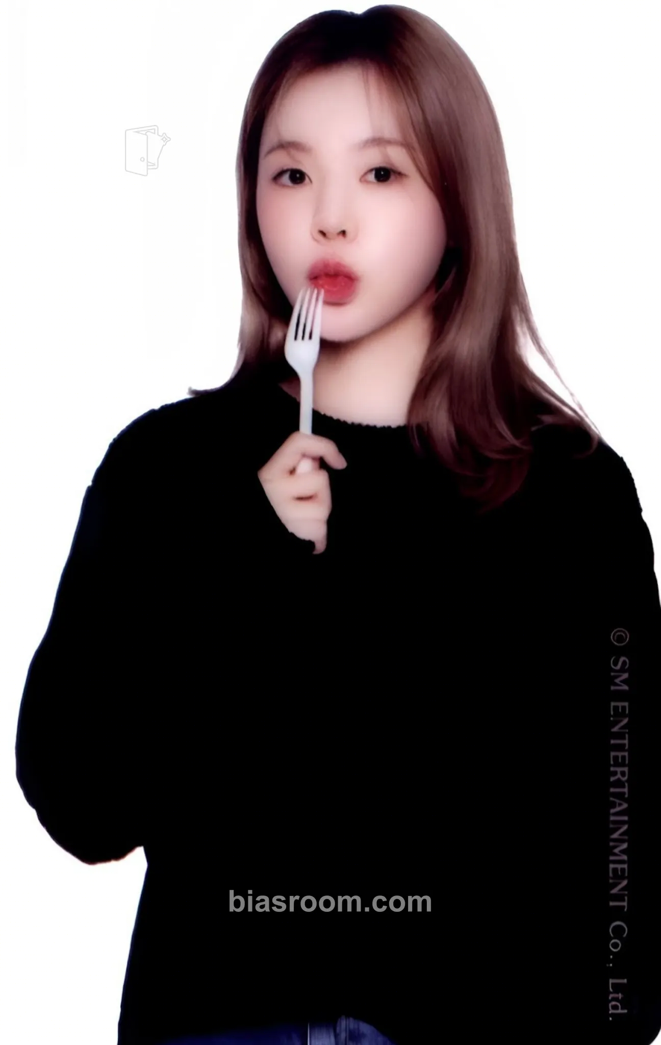Sunny Girl's Generation-Oh!GG - 2023 Season's Greetings Photocard - Girls' Generation - Girls' Generation K-pop photocard