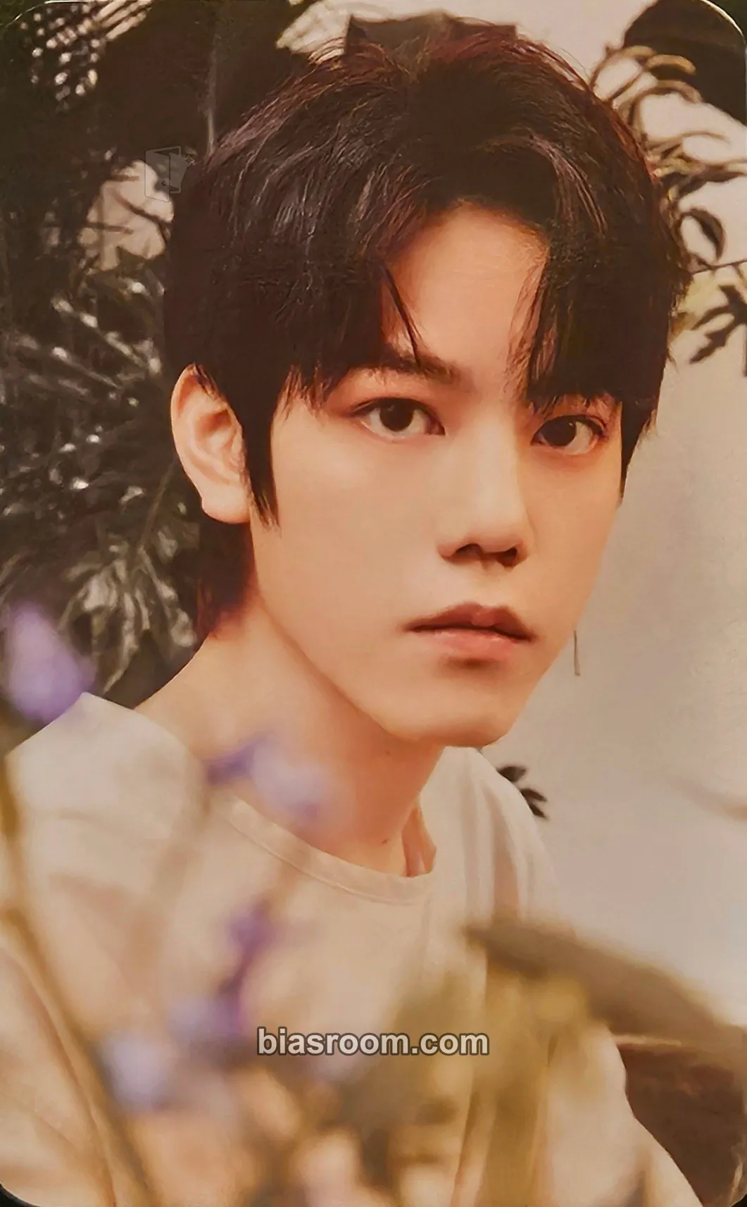 Hun 1st Photobook - Light in the Dark Photocard - N.Flying - N.Flying K-pop photocard