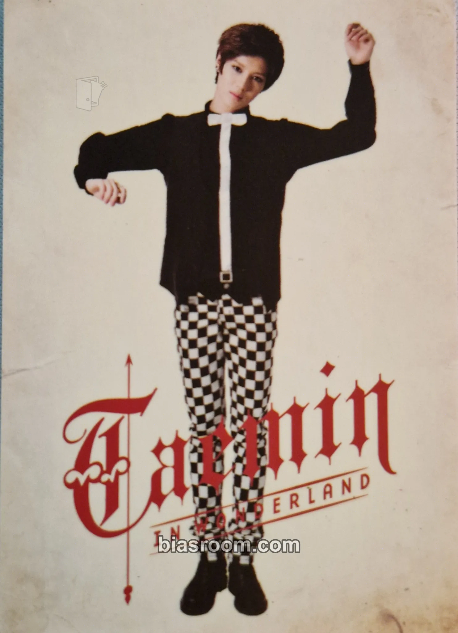 Taemin SHINee in Wonderland Photocard - SHINee - SHINee K-pop photocard
