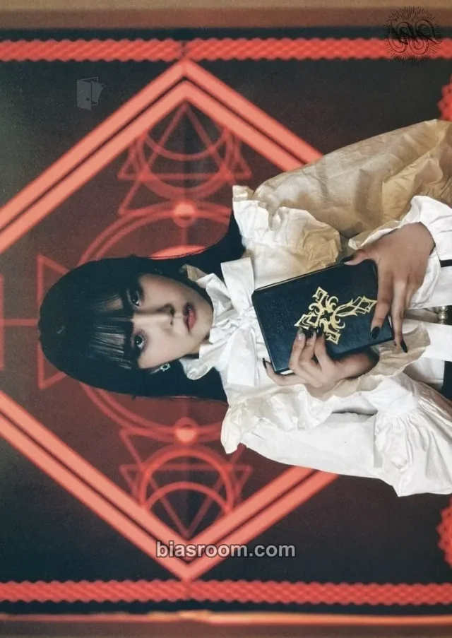 PinkFantasy - Harin - Alice In Wonderland Album postcard album inclusion horizontal