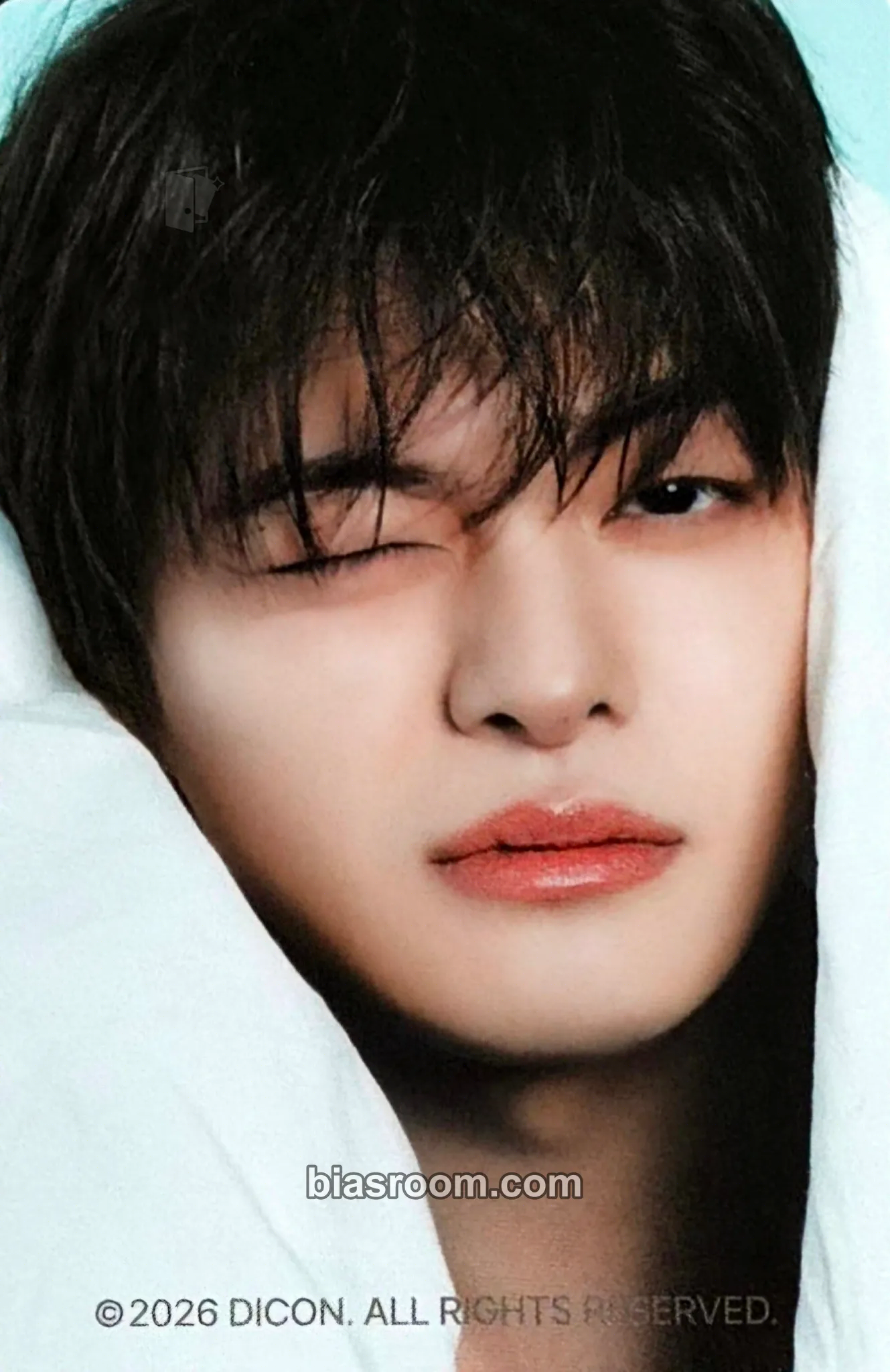 Leo DICON VOLUME Nº33 Photocard - ALPHA DRIVE ONE - ALPHA DRIVE ONE K-pop photocard