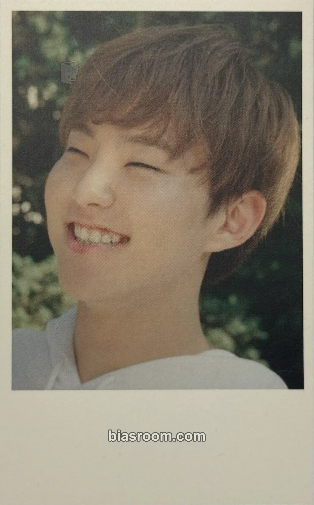 Hoshi 17 HITS Photocard - SEVENTEEN - SEVENTEEN K-pop photocard