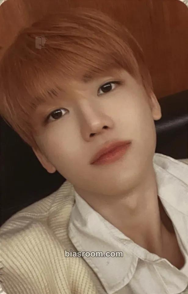 Jaemin mernel X NCT DREAM Photocard - NCT DREAM - NCT DREAM K-pop photocard