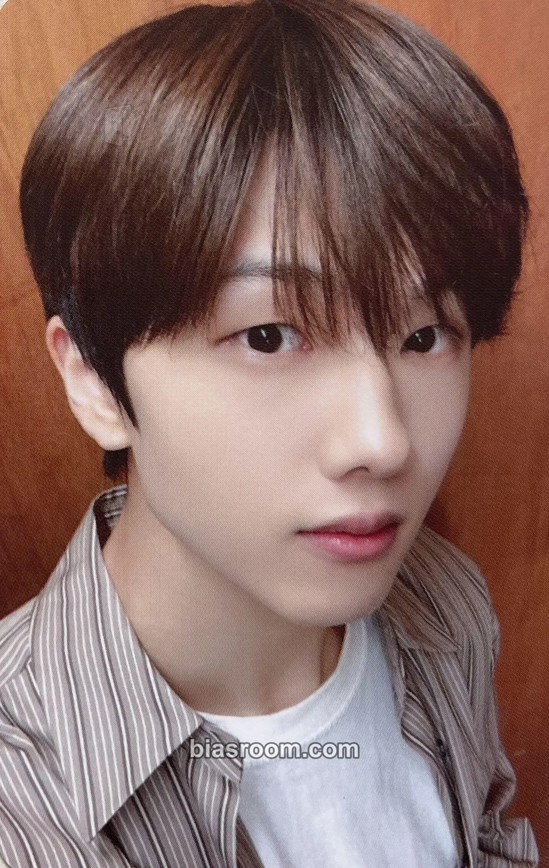 Jisung mernel X NCT DREAM Photocard - NCT DREAM - NCT DREAM K-pop photocard