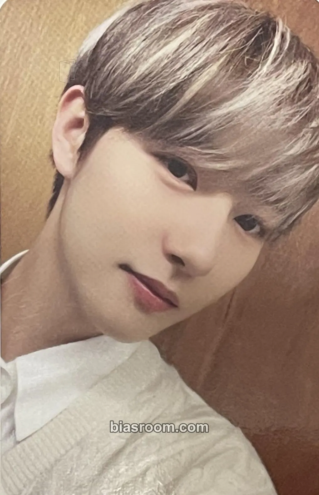 Renjun mernel X NCT DREAM Photocard - NCT DREAM - NCT DREAM K-pop photocard