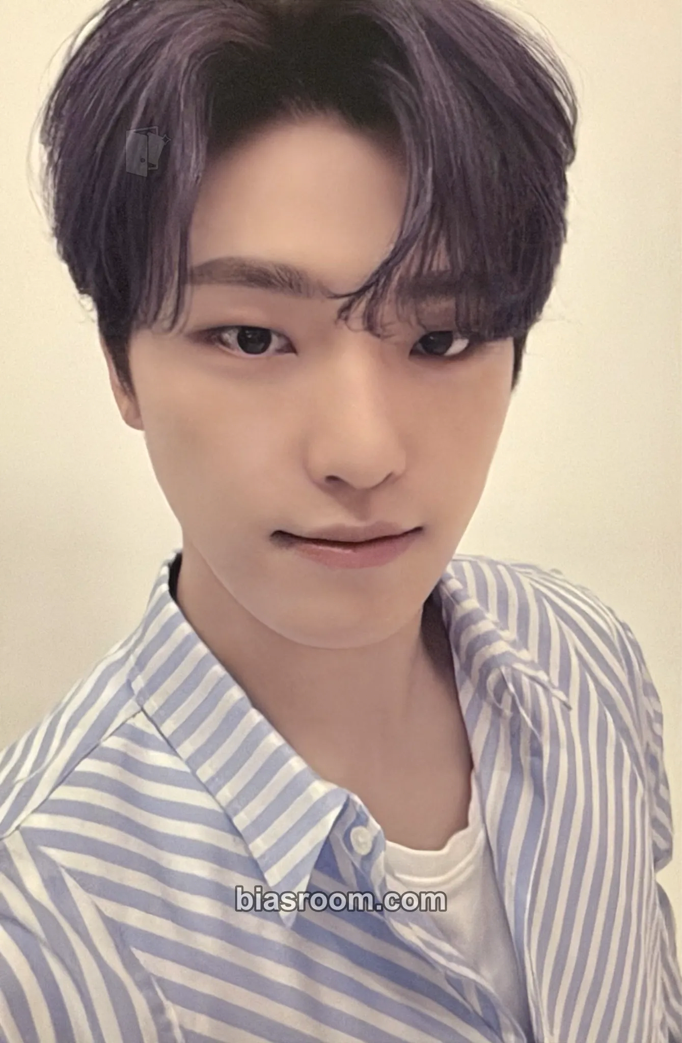 Dino 2021 5TH SVT IN CARAT LAND Photocard - SEVENTEEN - SEVENTEEN K-pop photocard