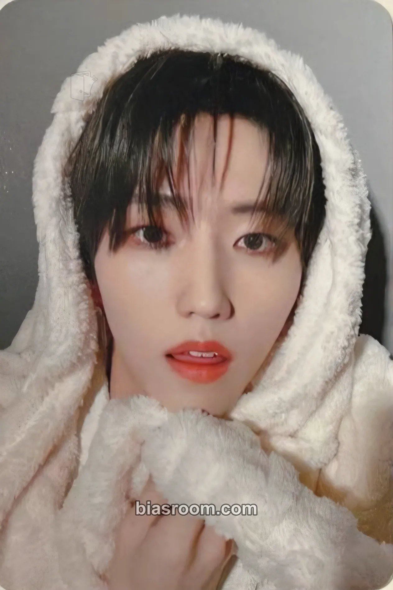 Baekgyeul 2024 E'LAST PHOTOCARD SET 'Together' Photocard - E’LAST - E’LAST K-pop photocard