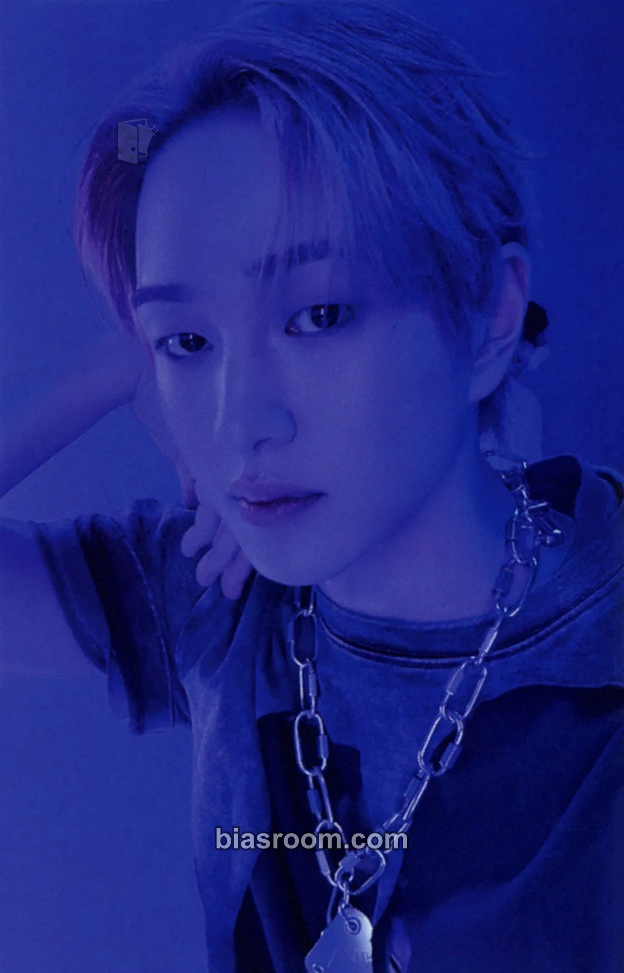 Onew SHINee 2026 Season's Greetings Photocard - SHINee - SHINee K-pop photocard