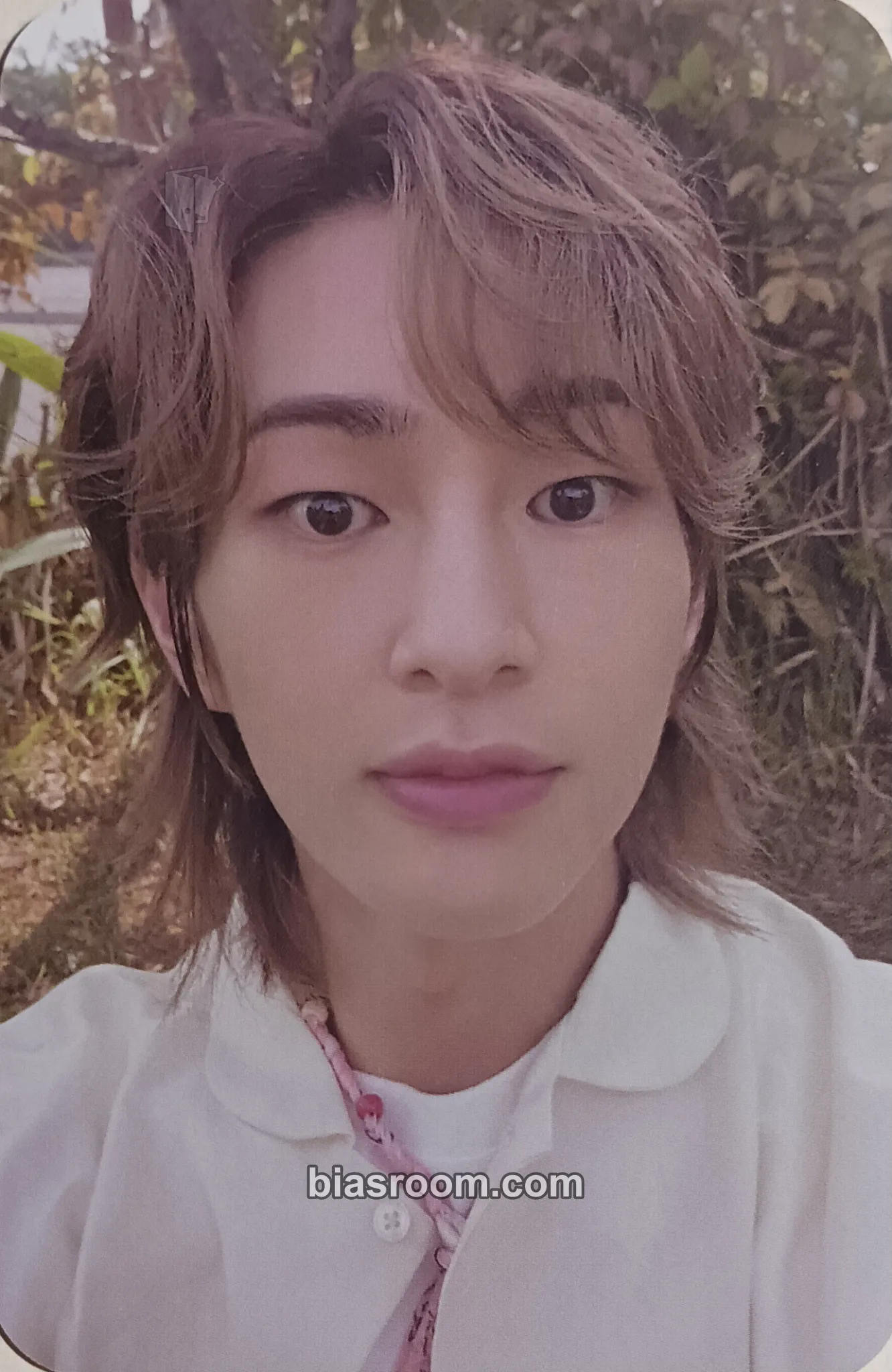 Onew SHINEE SMTOWN OFFICIAL MD 2023 Photocard - SHINee - SHINee K-pop photocard