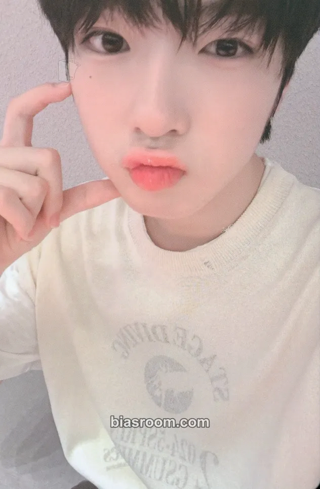 Sakuya Songbird Photocard - NCT WISH - NCT WISH K-pop photocard