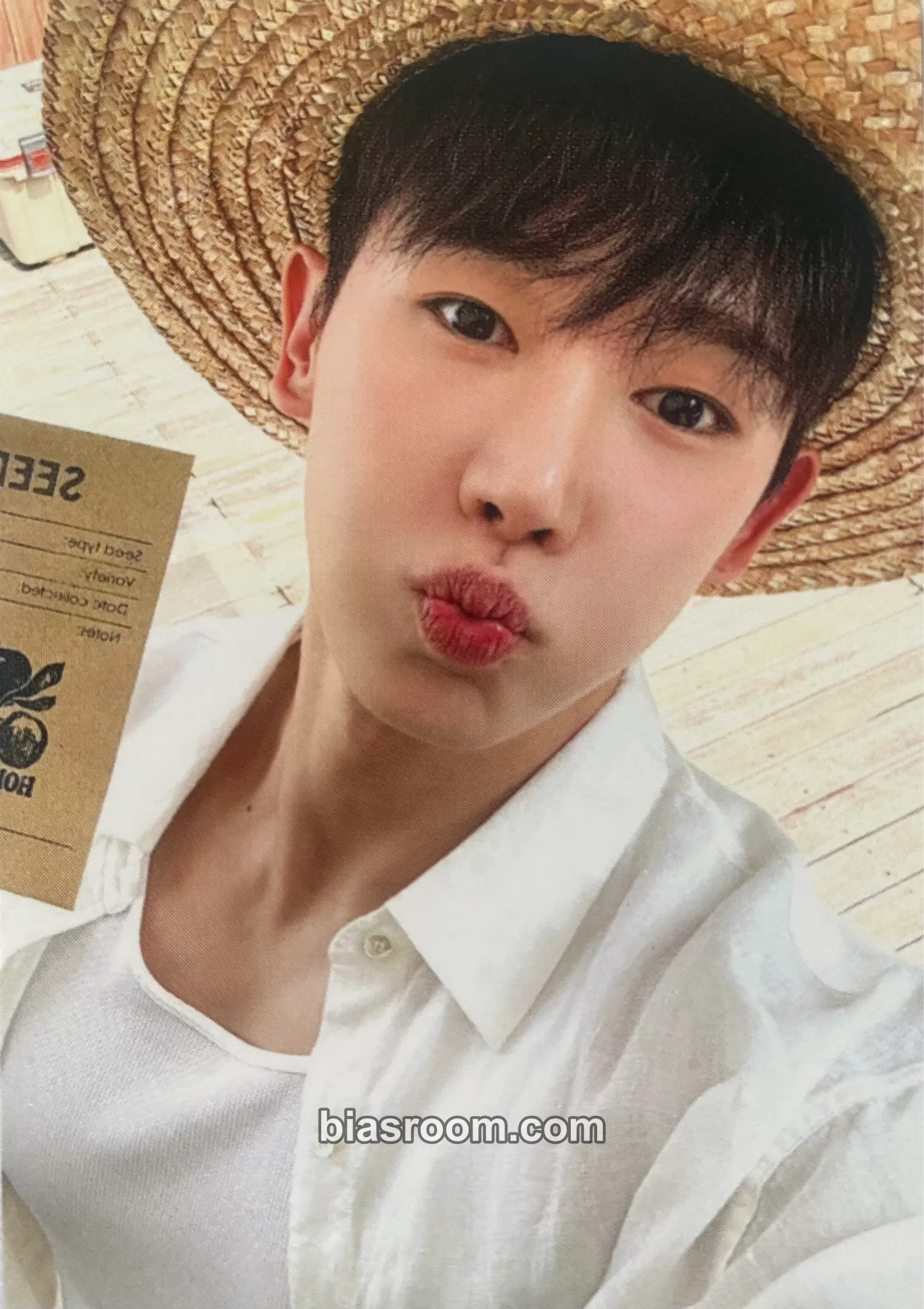 Wonho 2026 Season's Greetings - HOHO Market Photocard - Wonho K-pop photocard